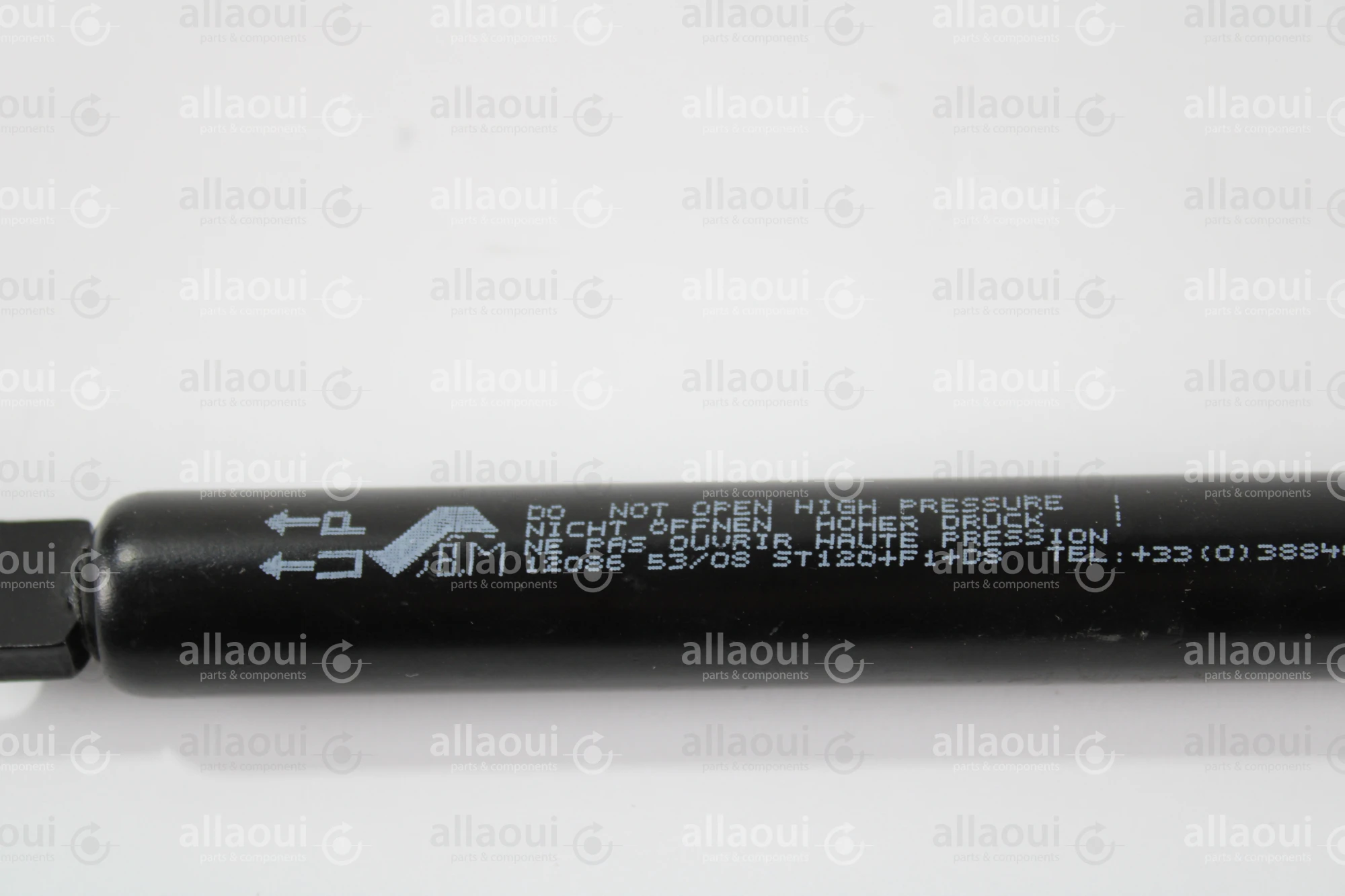 Berthold Marx Gas Spring 120200D8-1010