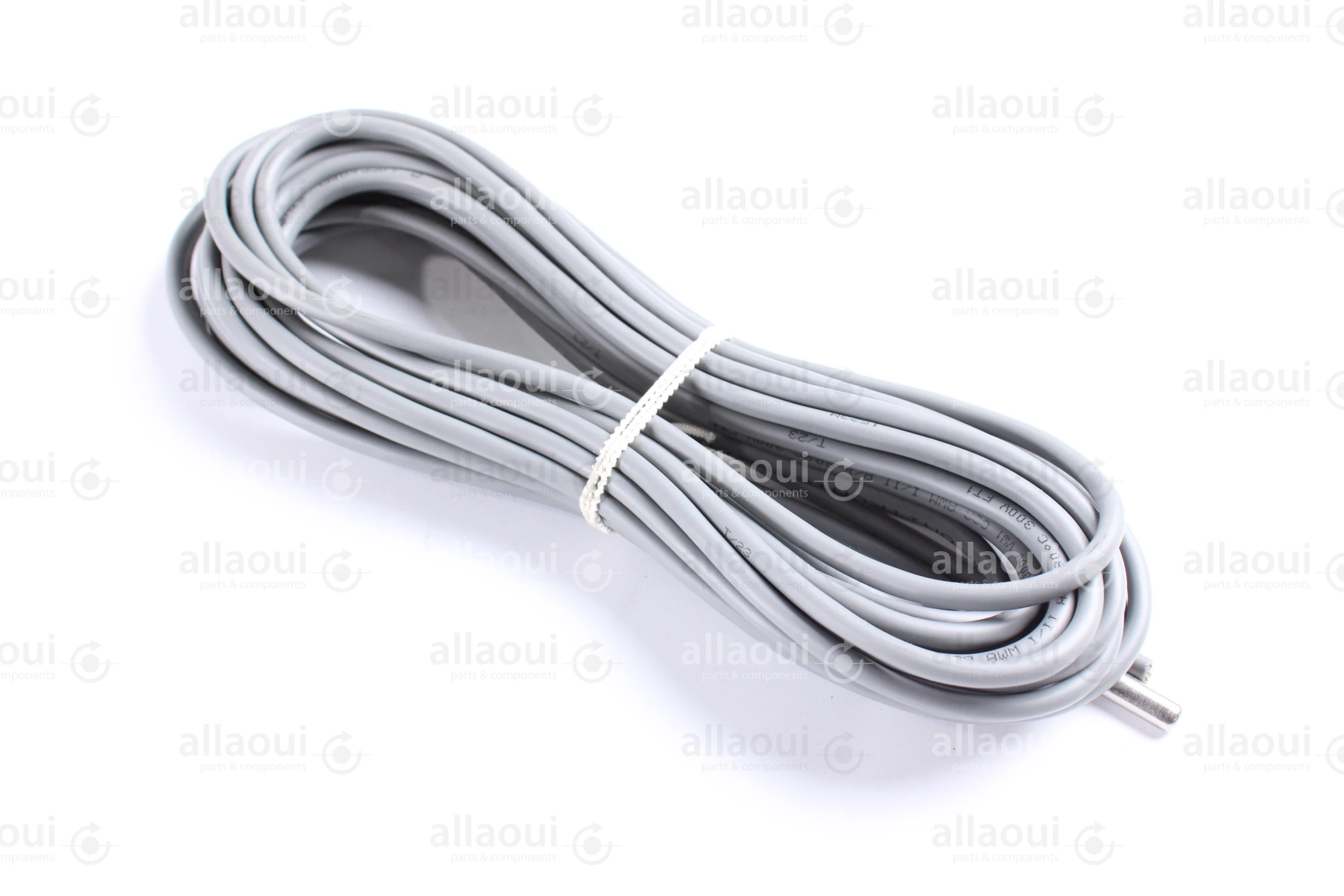 Technotrans Temperature Sensor 065066137