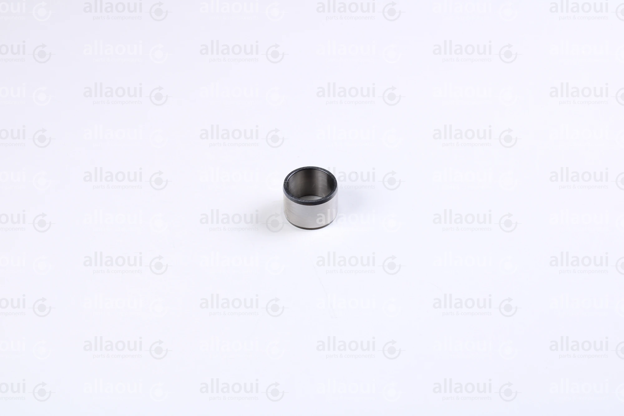 INA Inner Ring 000021628-0000