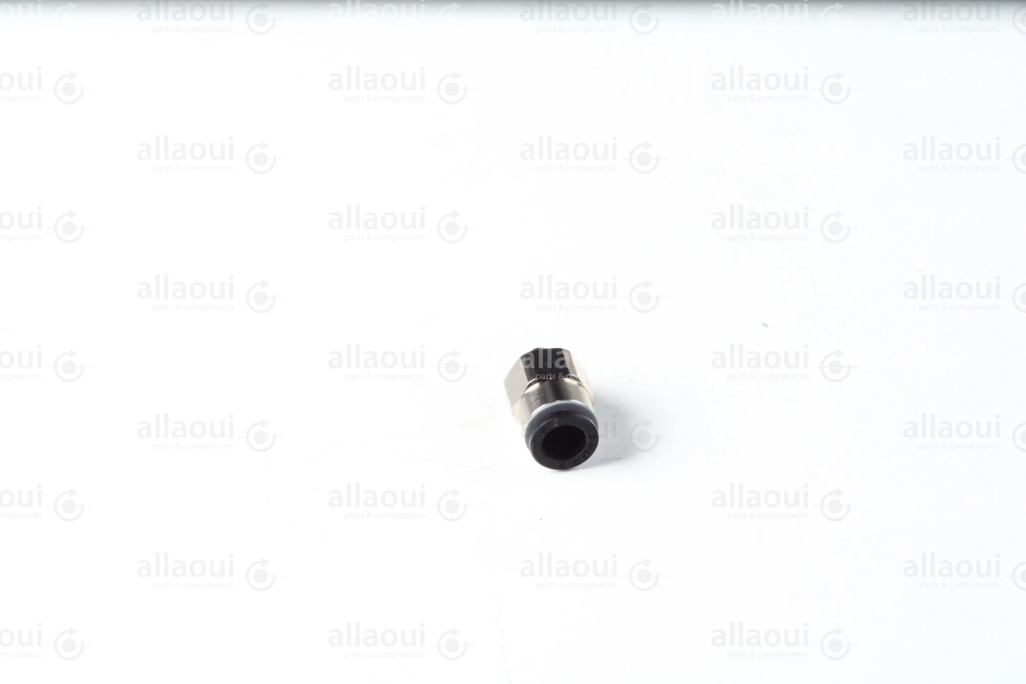 Legris Thread Adapter 3101 06 19