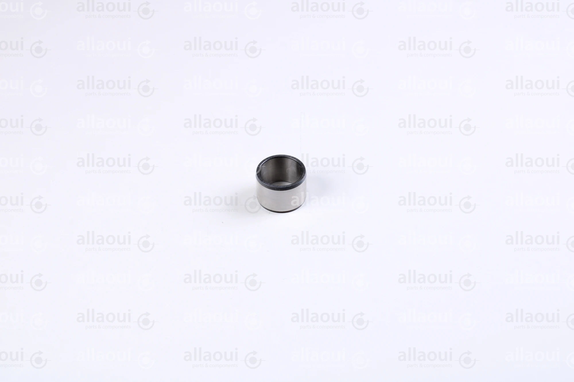 INA Inner Ring 000021628-0000