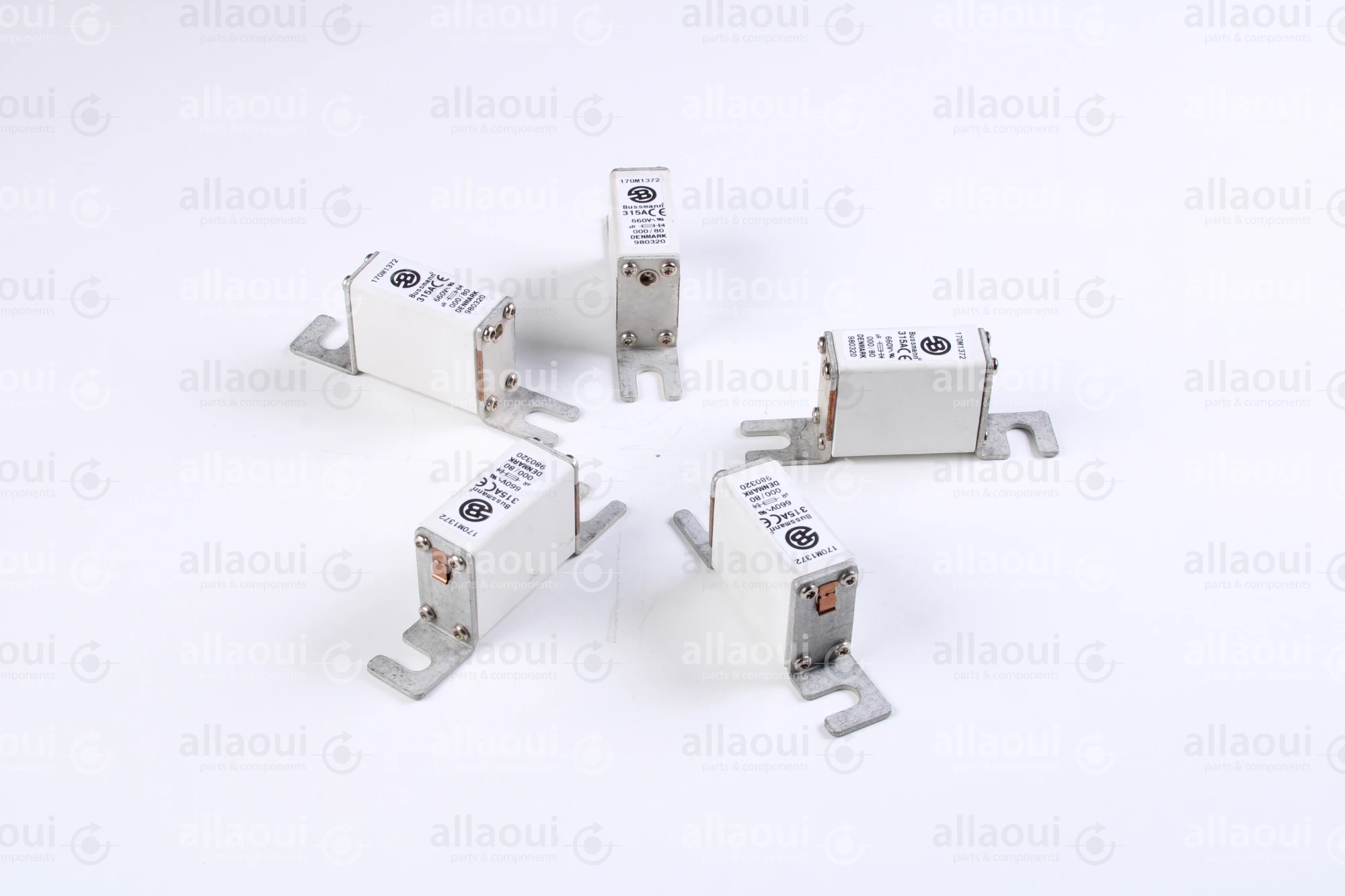 Bussmann Fuse 315A 660V (5 Pieces) 170 M 1372