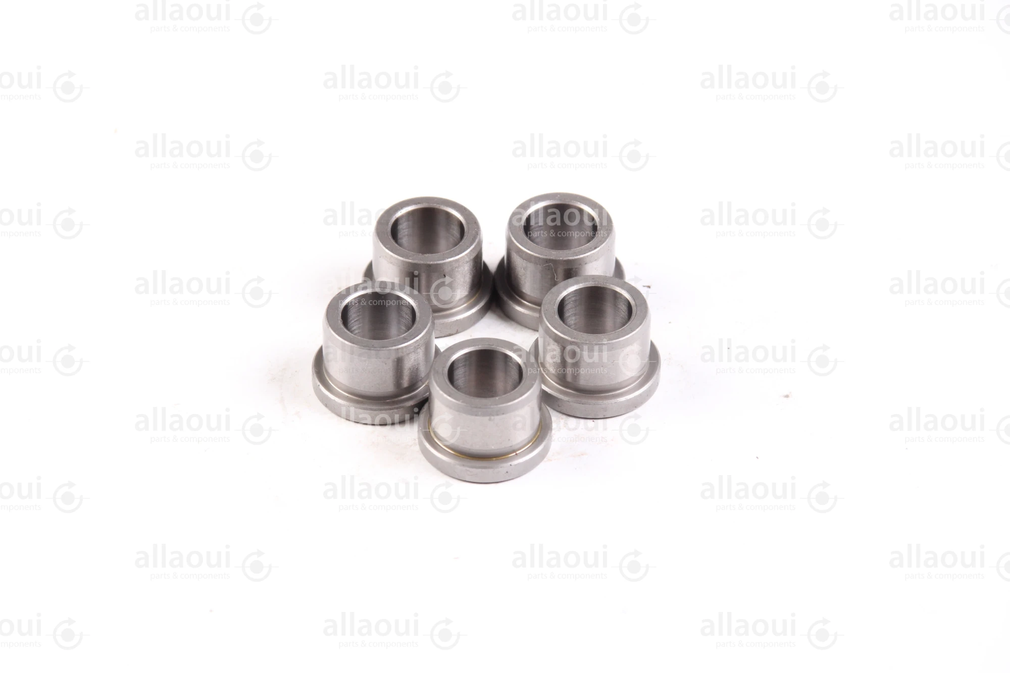Ludwig Meister DIN 172 Guide Bushings(5 Pieces) 480-DIN172-B10-12-A