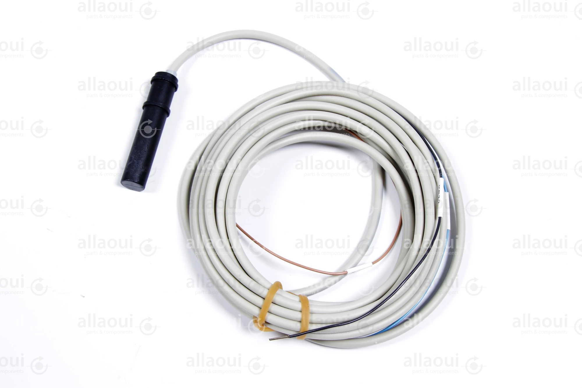 Heidelberg Capacitive Sensor M2.198.1563/06