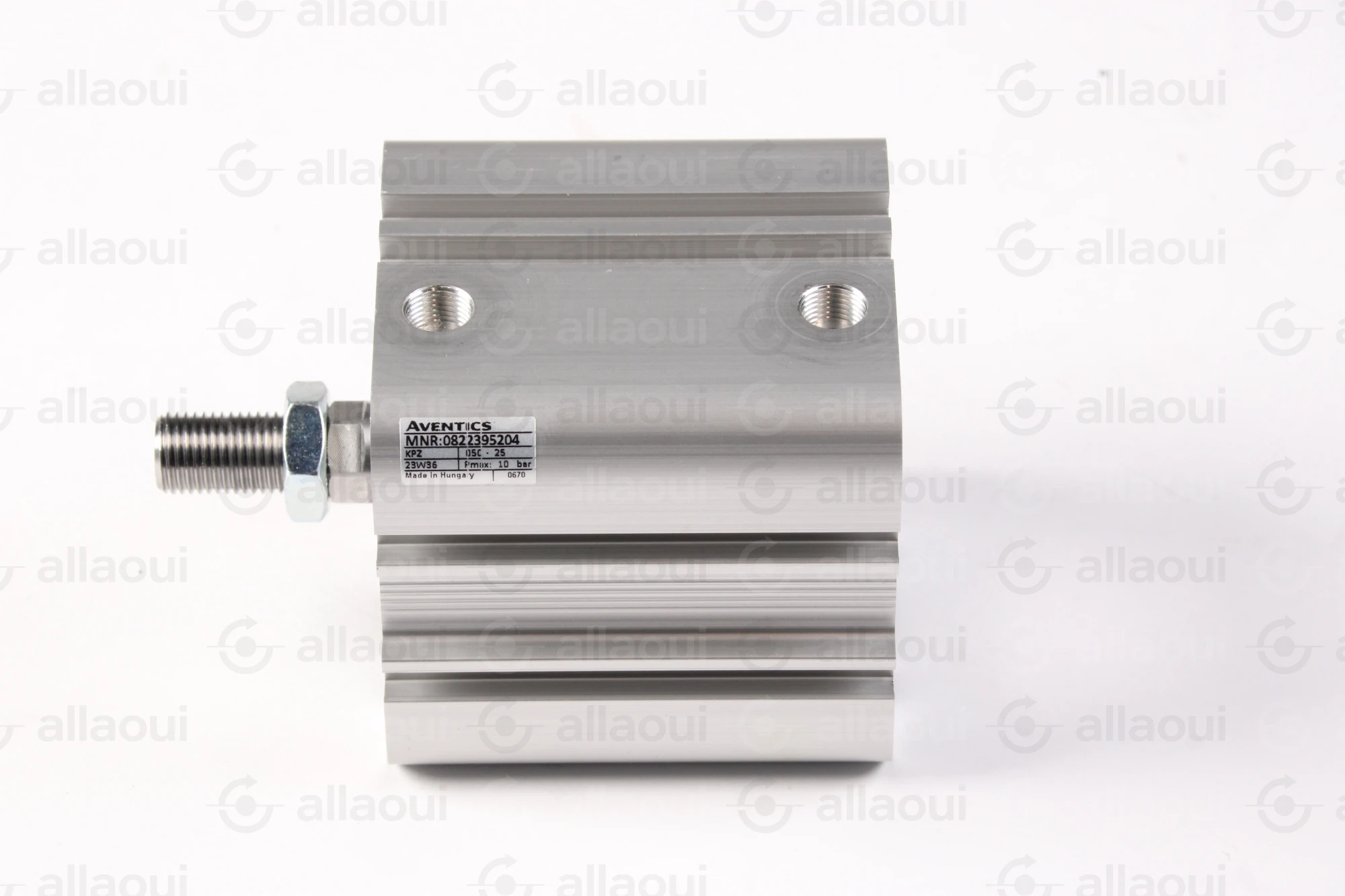 Bosch Rexroth Cylinder 0822395204