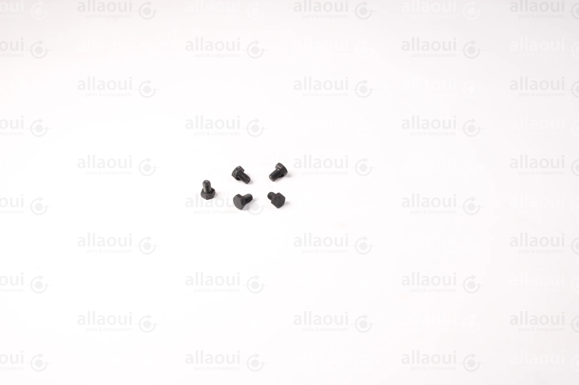 Manroland Hexagon Screw (5 pieces) 06.01283-1110