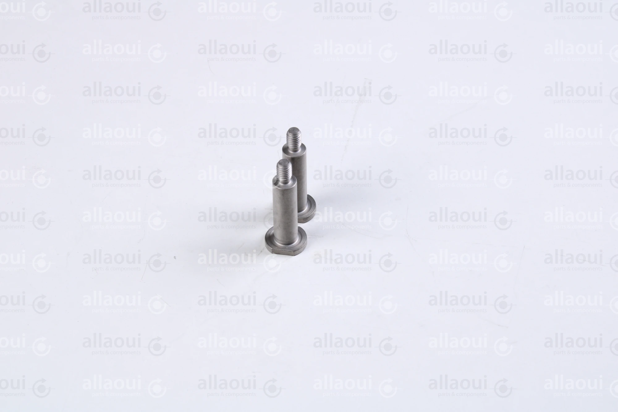 Ferag Guide 14x37 3114 8482