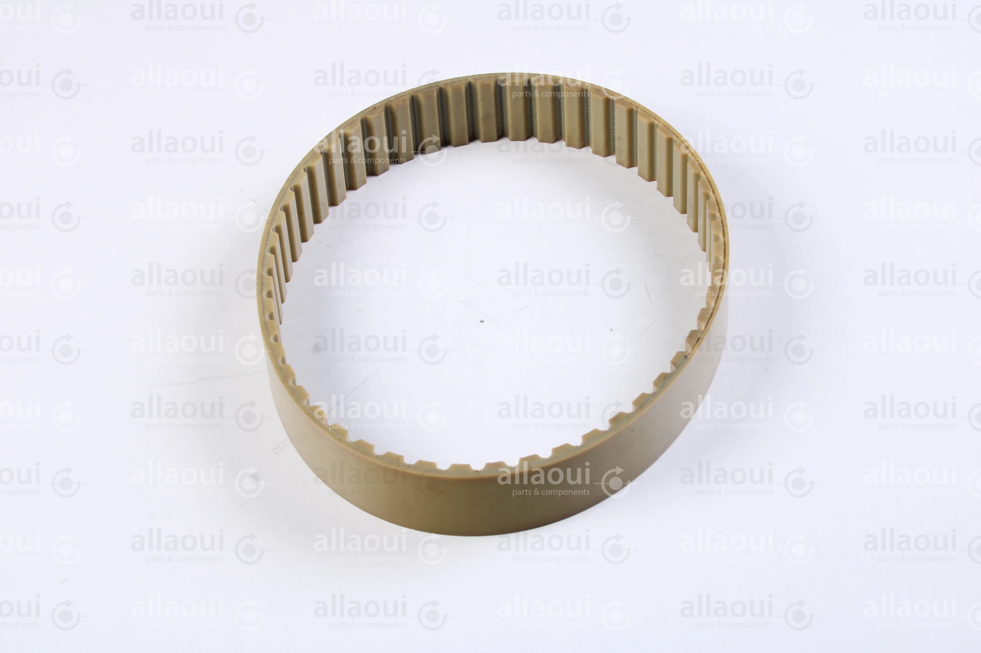 Müller Martini Timing Belt 3646.1267.4