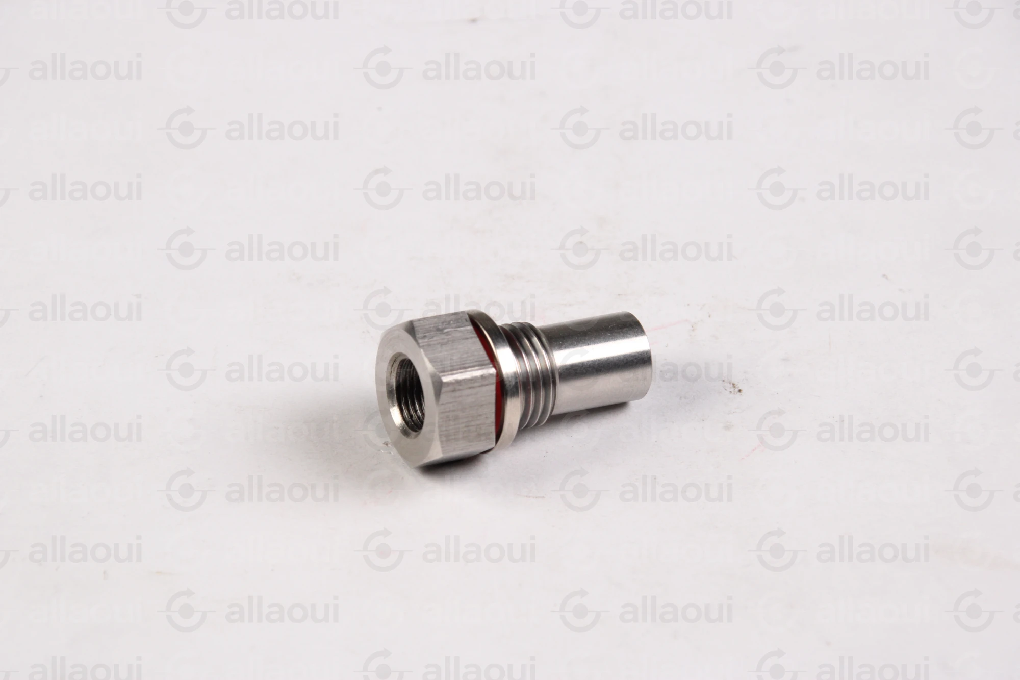 Planatol Check Valve 109027