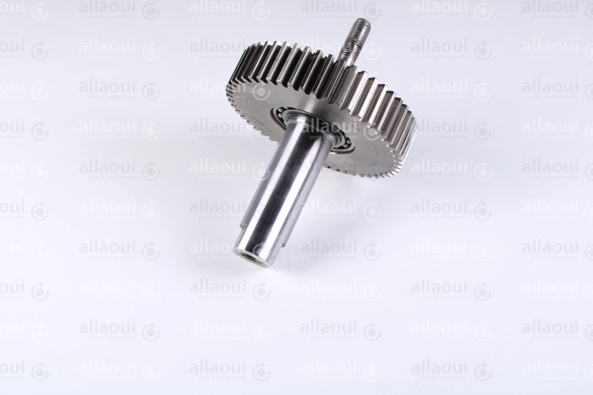 Heidelberg Journal 7G.010.513F/05