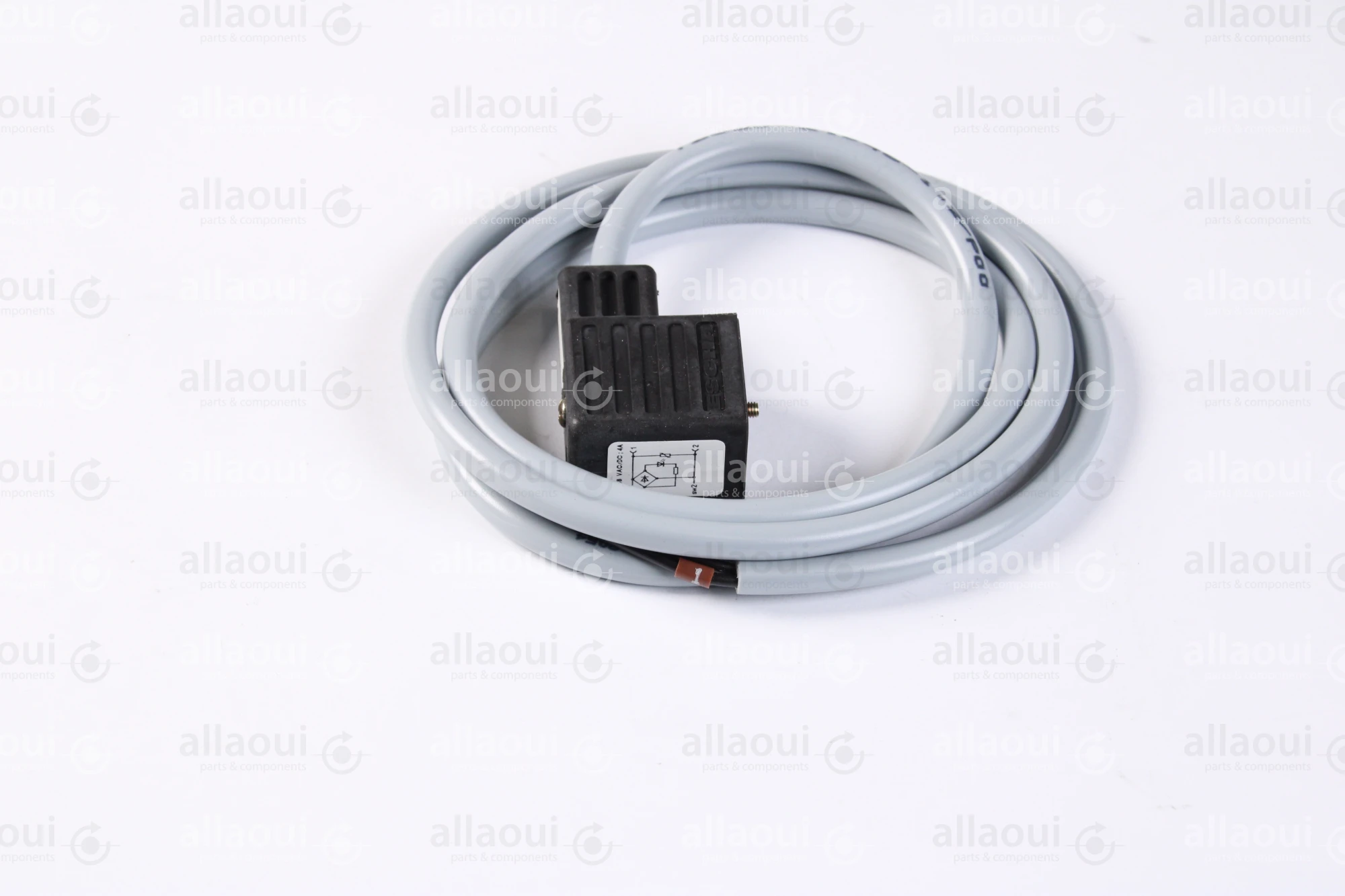 Escha 2-Pole Magnet Connector with Cable TBS20-2.048-1,2/P00