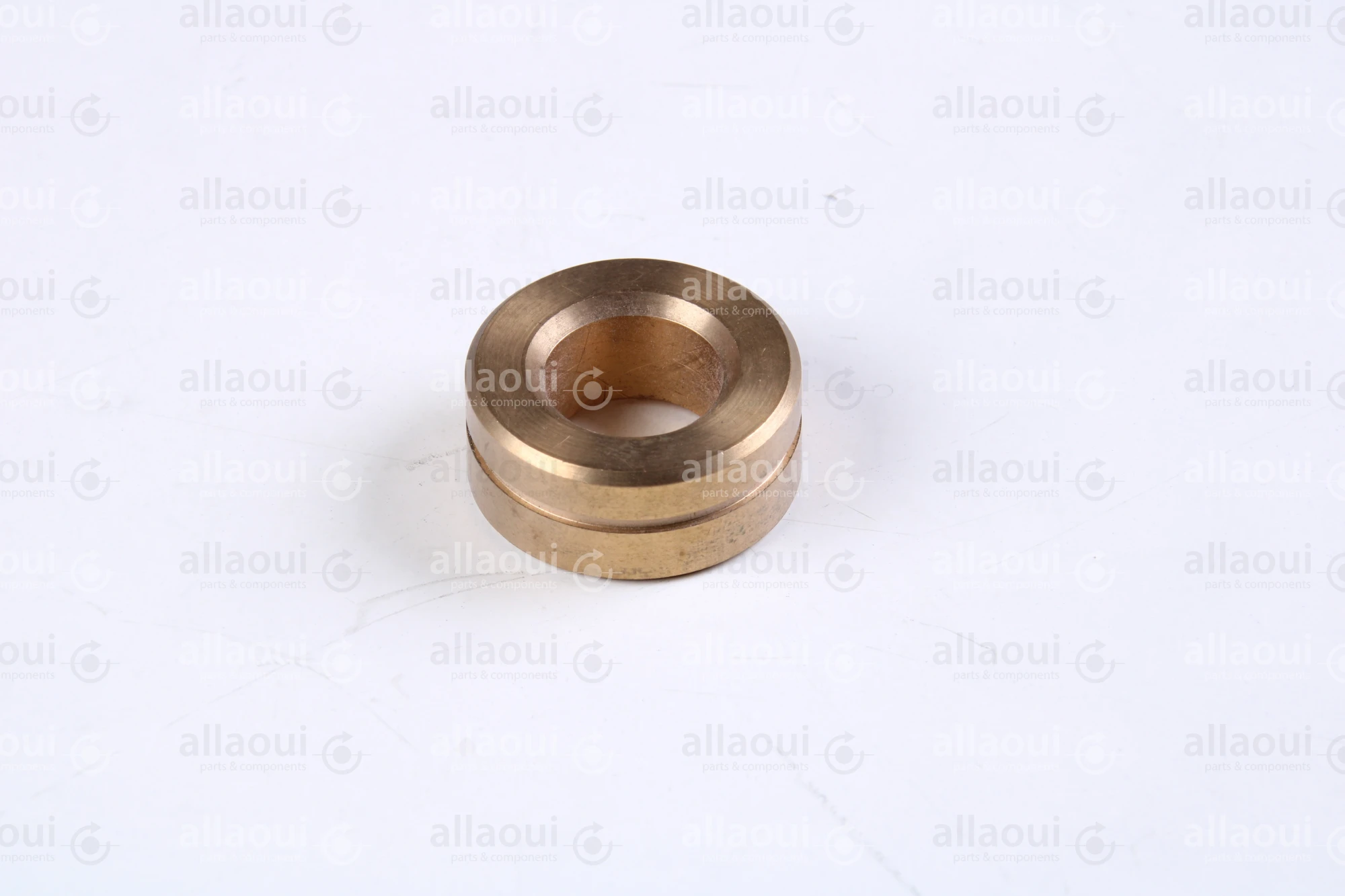 Polar Bearing bushing 448355