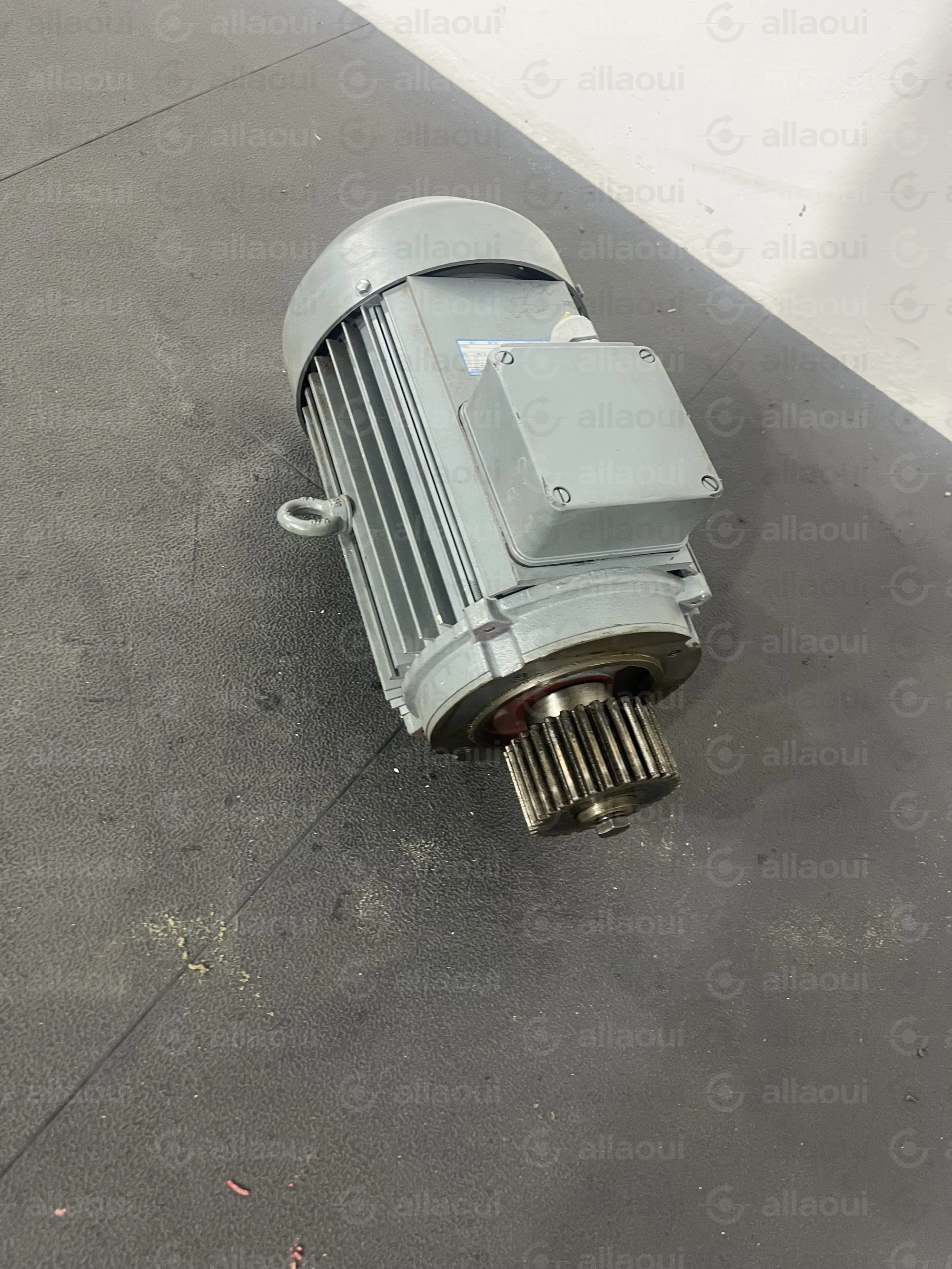 ABM Greiffenberger Motor 4DF100LC-4