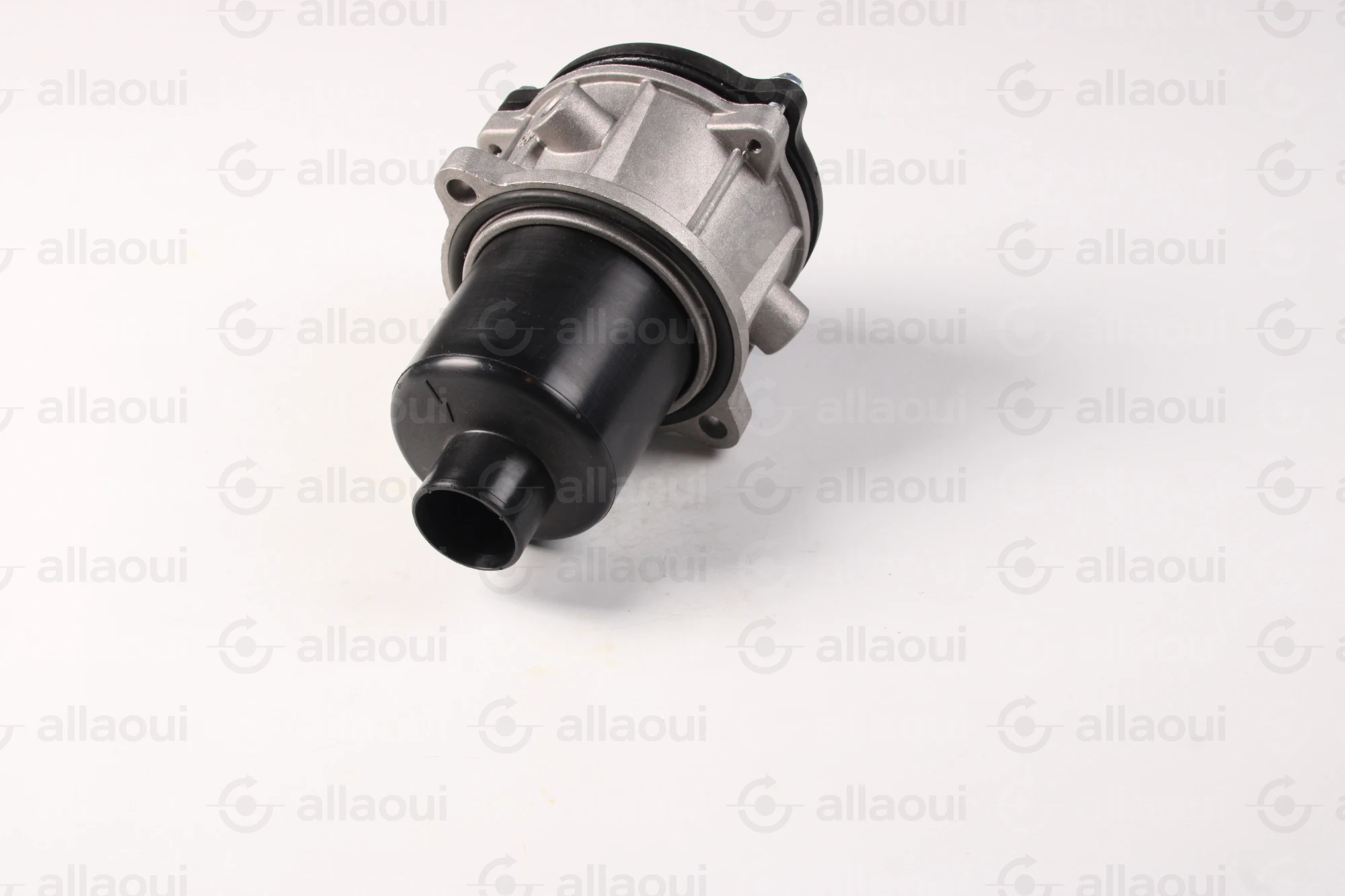 MP Filtri Filter MPF1001P10NBP01