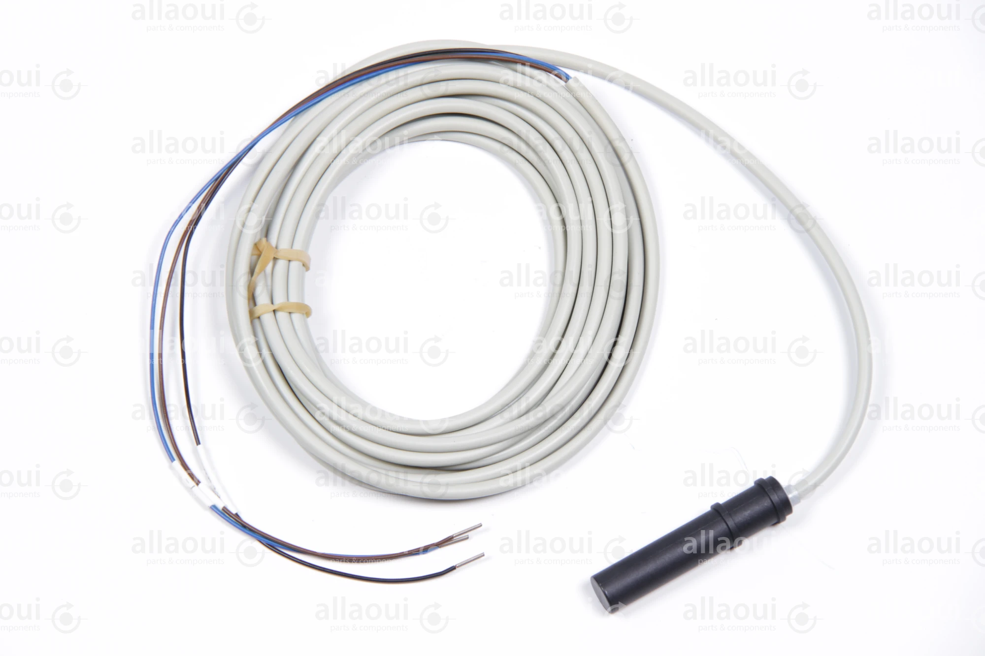 Heidelberg Capacitive Sensor M2.198.1563/05