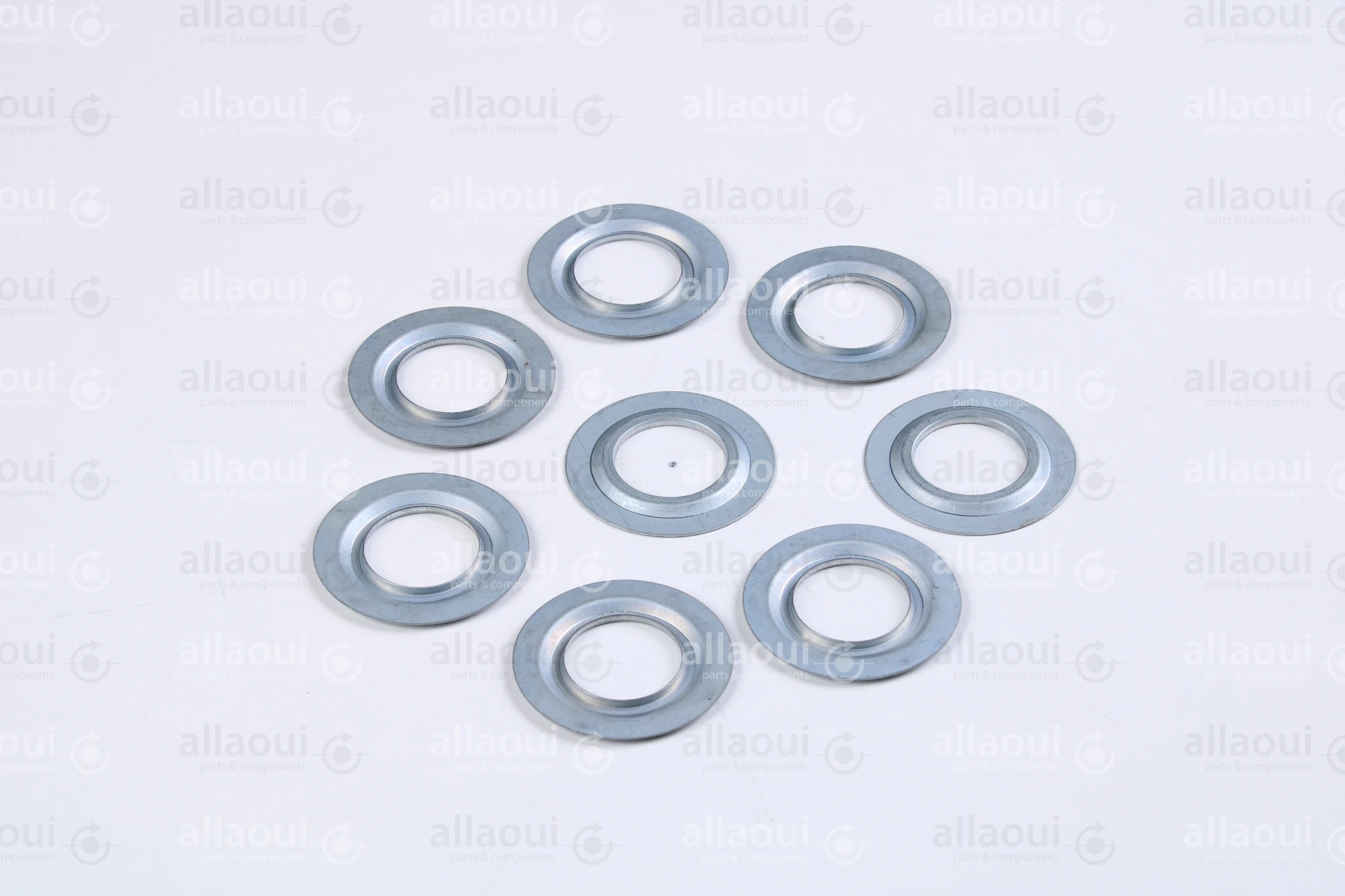 Müller Martini Sealing Ring 6202JV (8 Pieces) 0035.1767