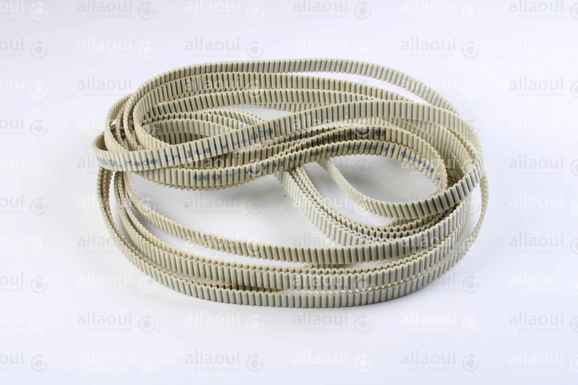 Müller Martini Toothed Belt 3697.3013.4