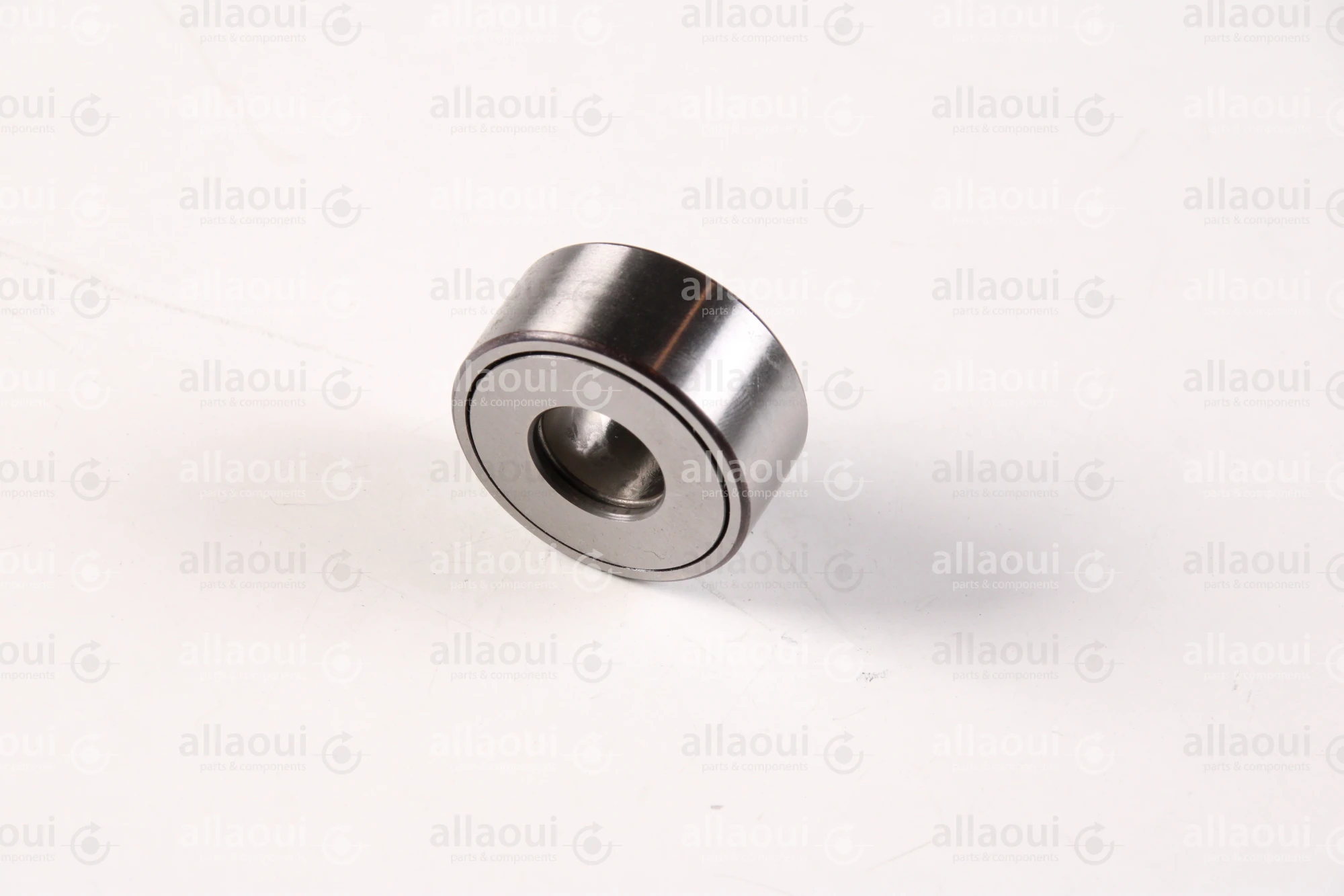 INA Supporting Roller F-231027.ST