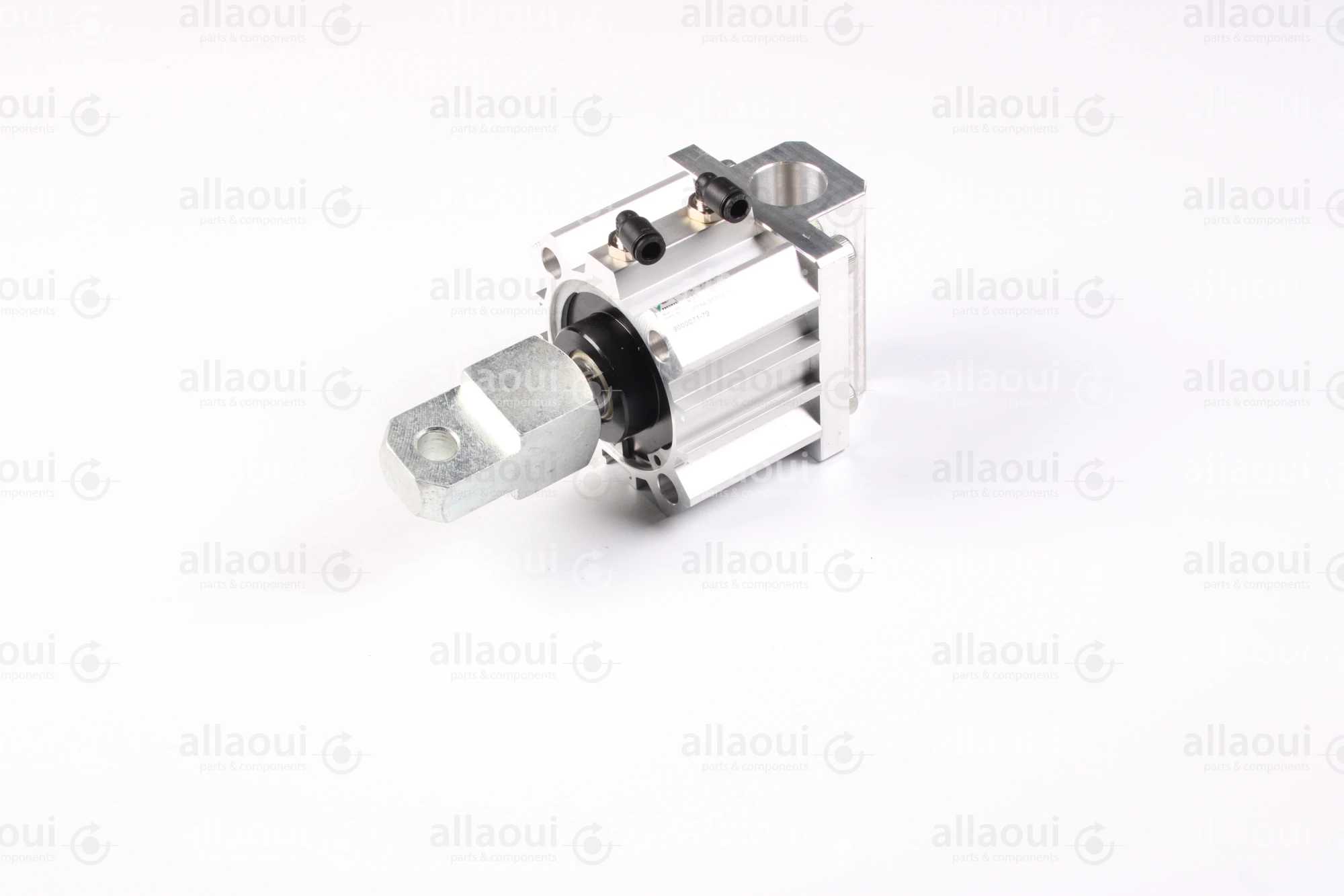 Elettra S.r.l Air Cylinder 1026650-00