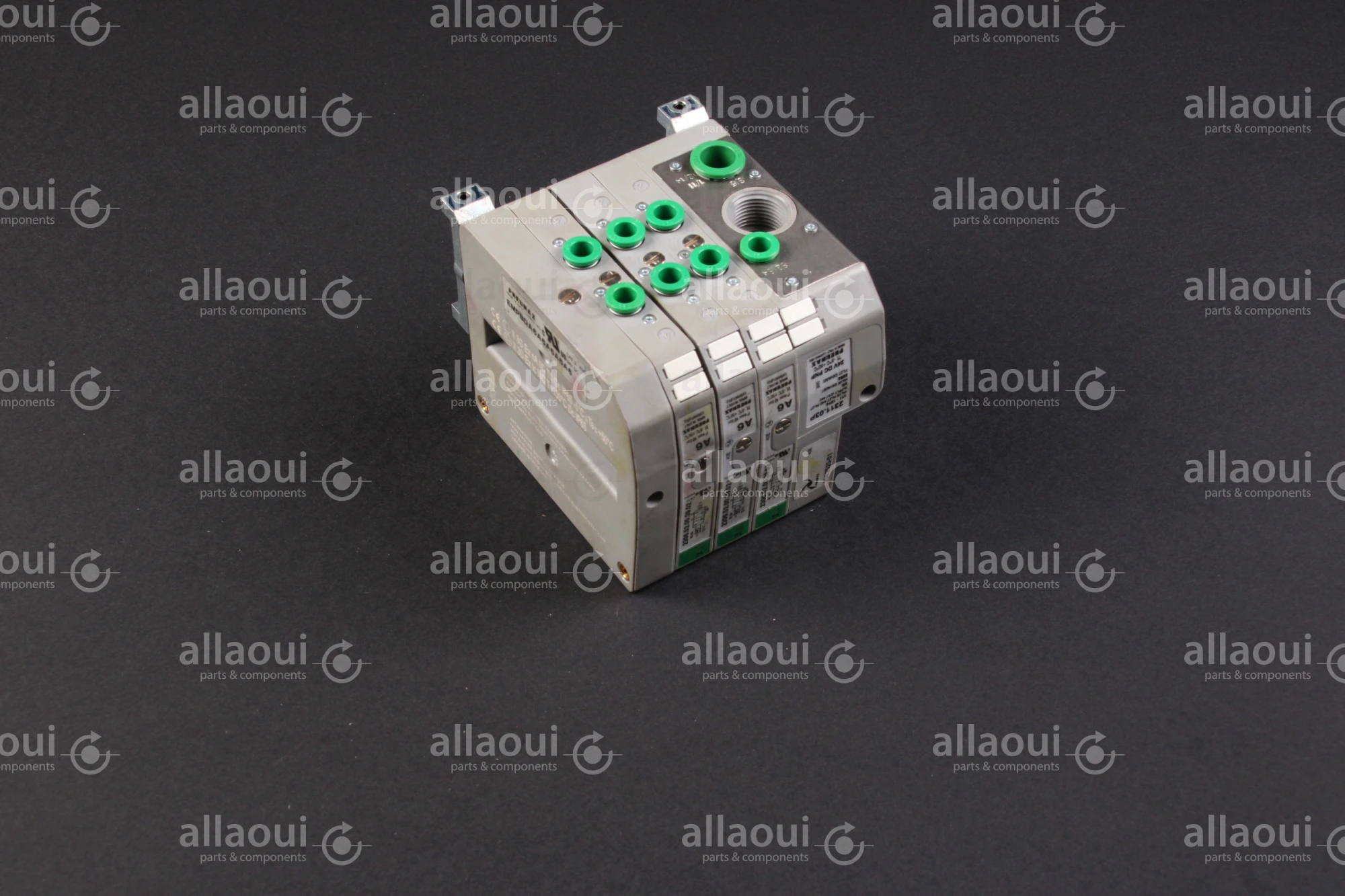 Pneumax Valve Cluster 2002525-01