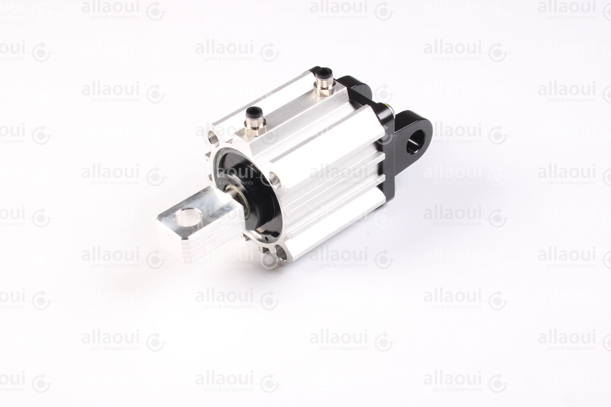 Elettra S.r.l Pneumatic Cylinder 1026653-00