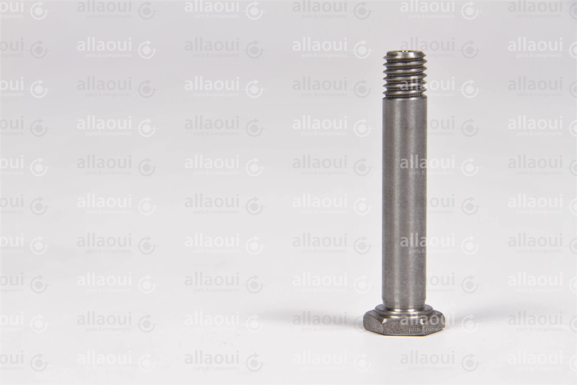 Manroland Bolt (10 Pieces) 16.31293-0093