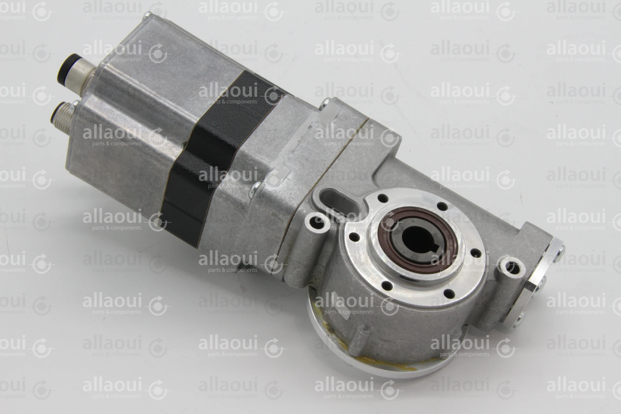 Berger Lahr Engine KPL =490+0-M2/22 DVU H319.0940A