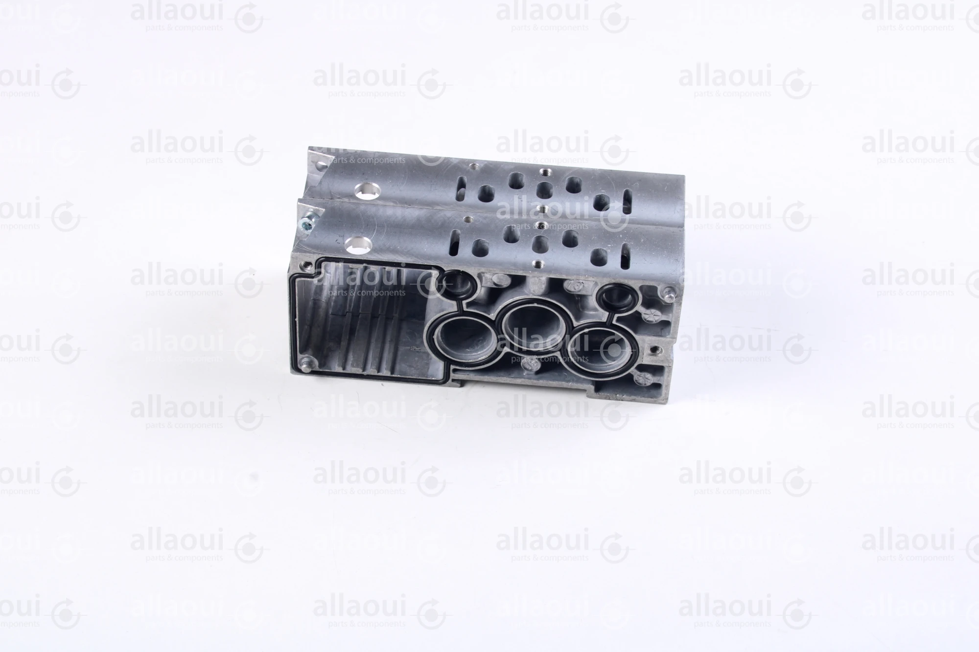 Norgren Double Station G1/4 VS2672502-BGF0