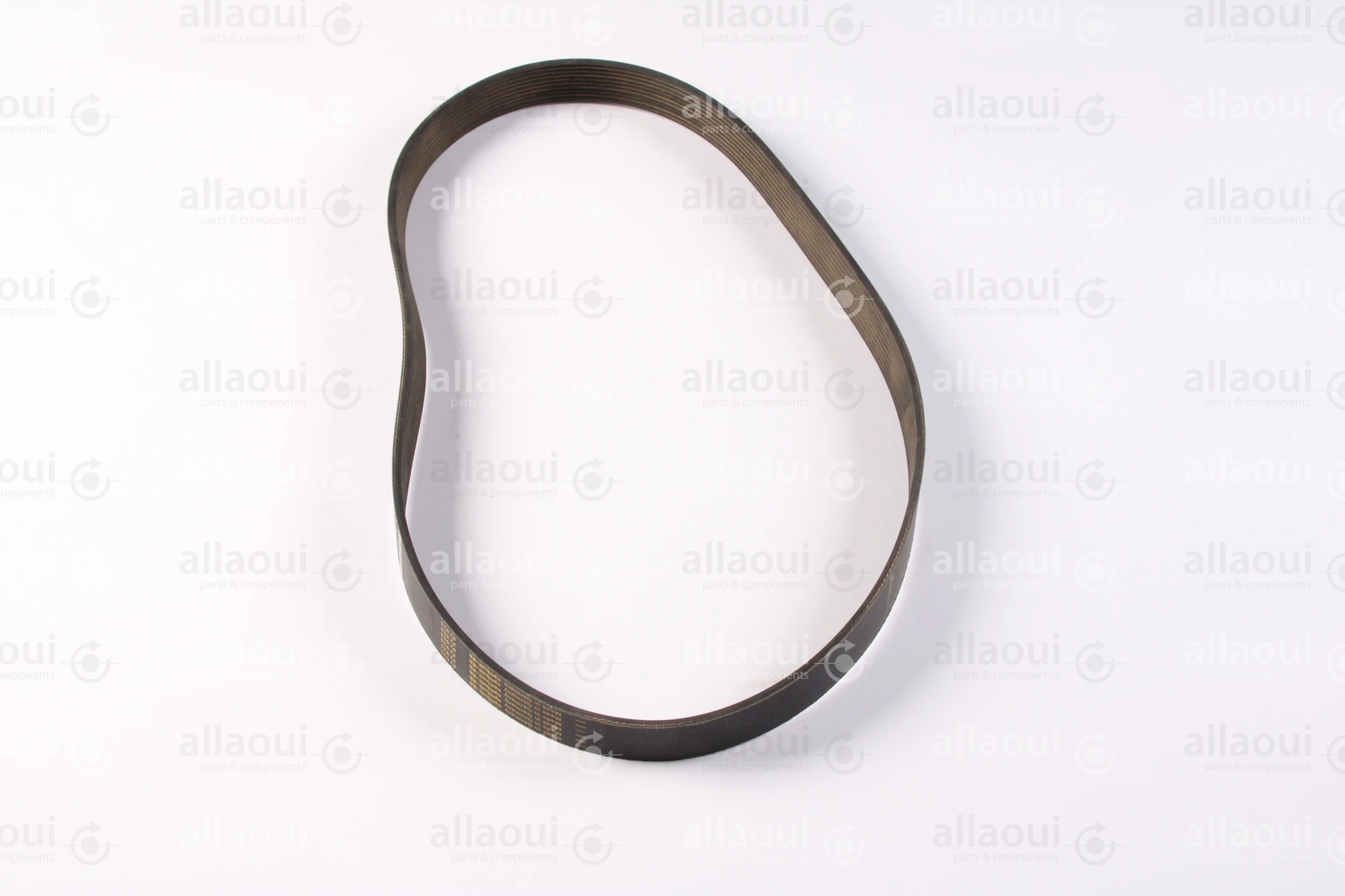 Optibelt V-ribbed Belt RB-12PJ955