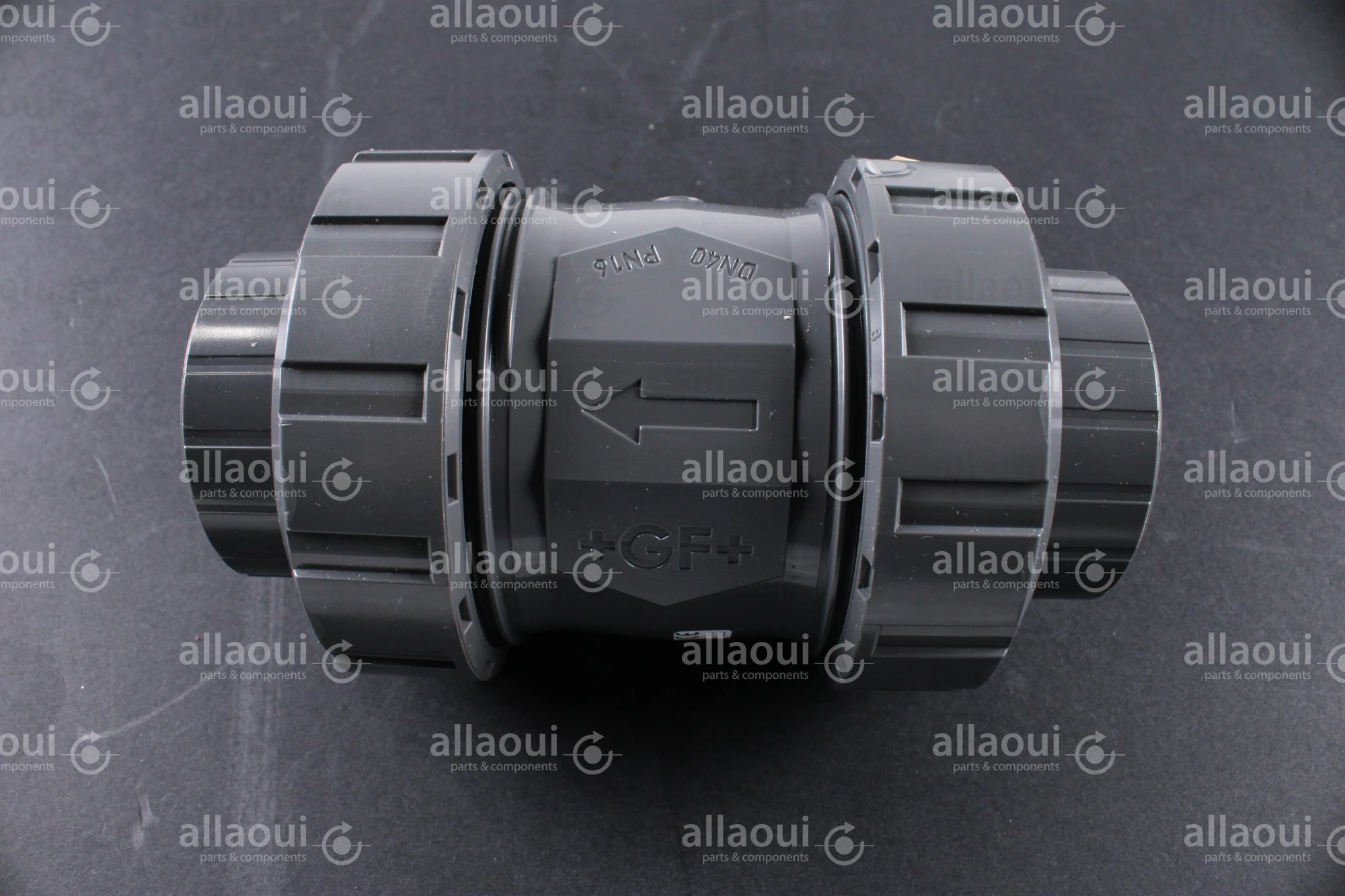 Technotrans Check Valve 10037969