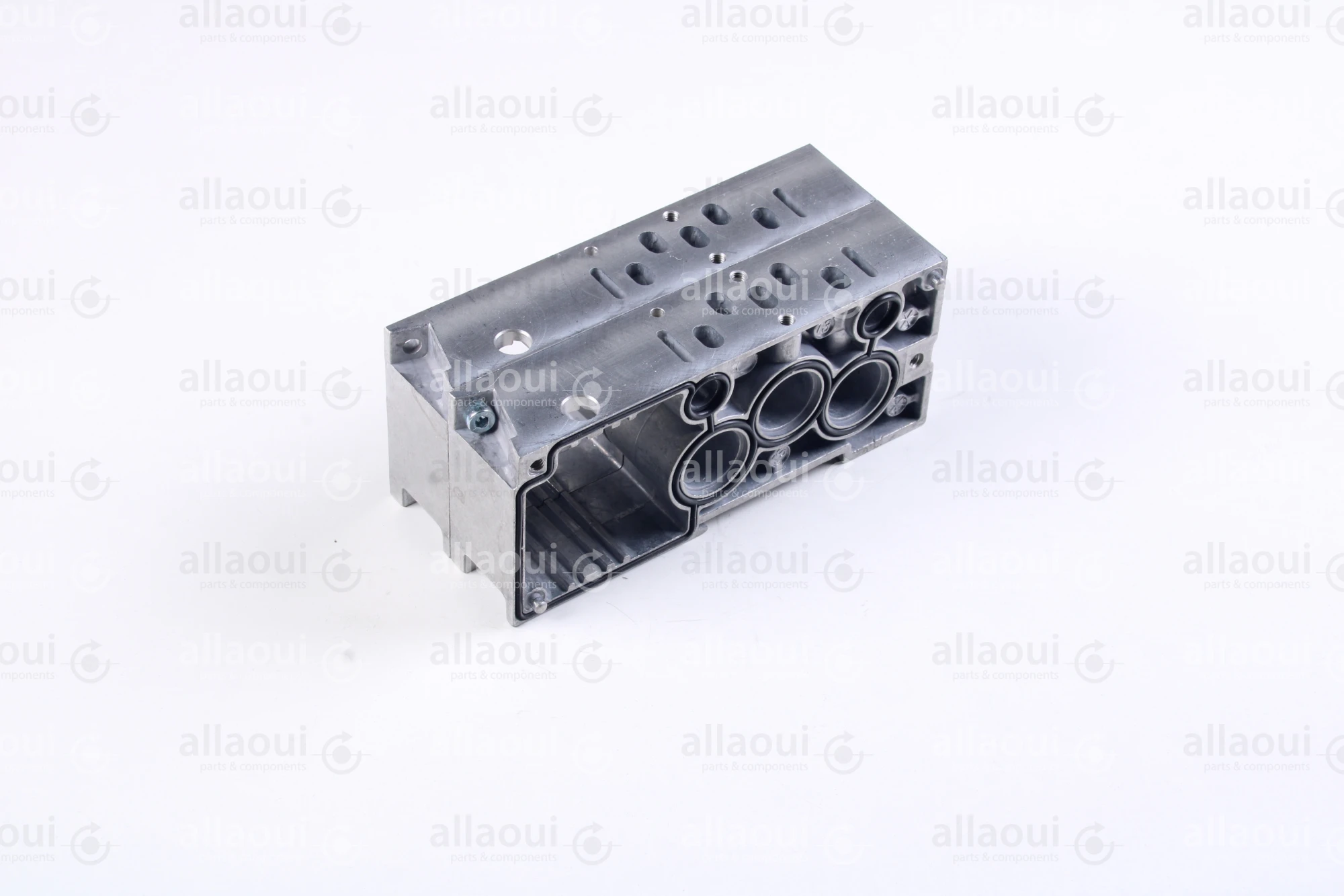 Norgren Double Station G1/4 VS2672502-BGF0