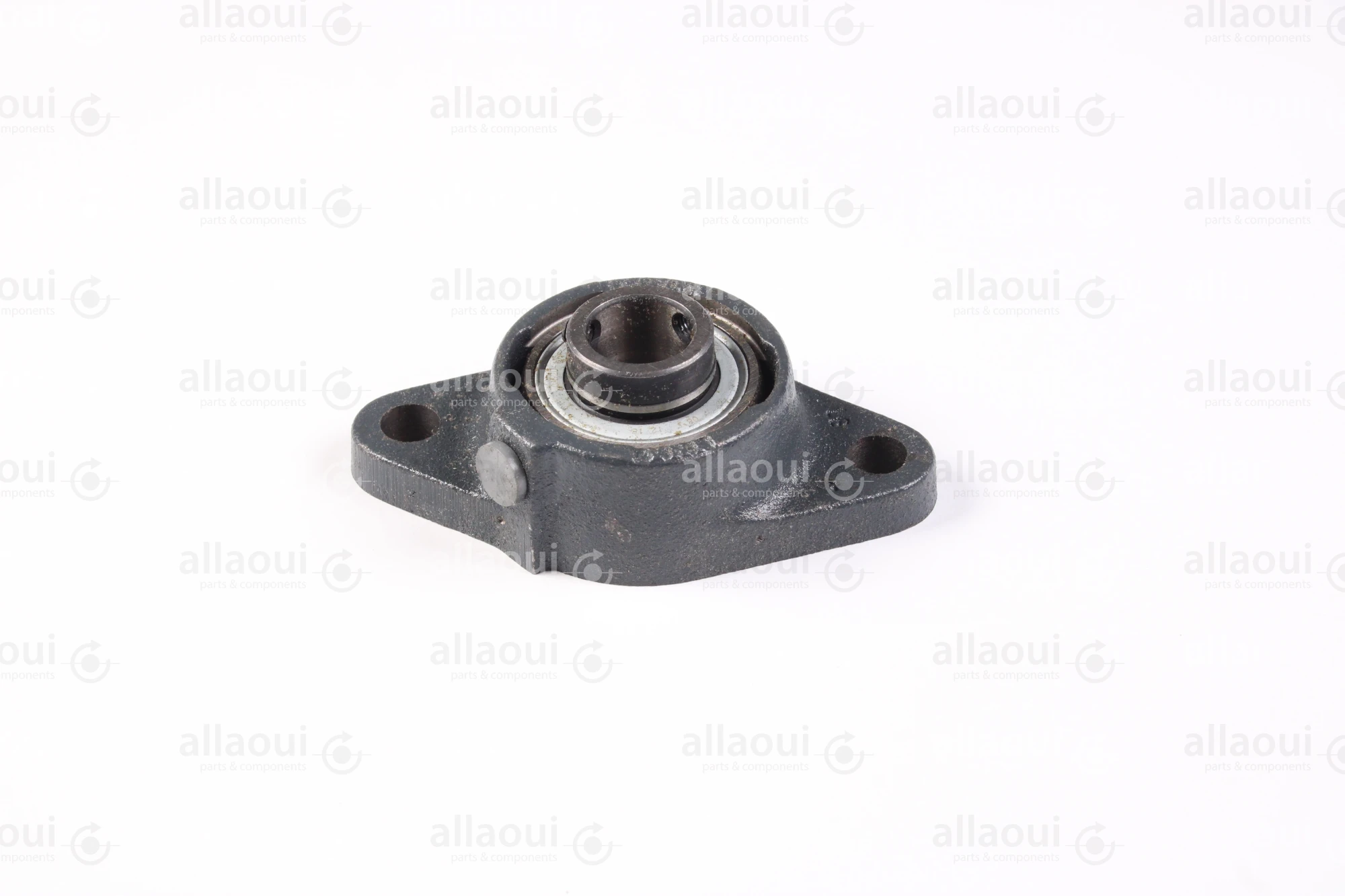 Manroland Two-Bore Flange Bearing Housing Unit 16.97060-5120