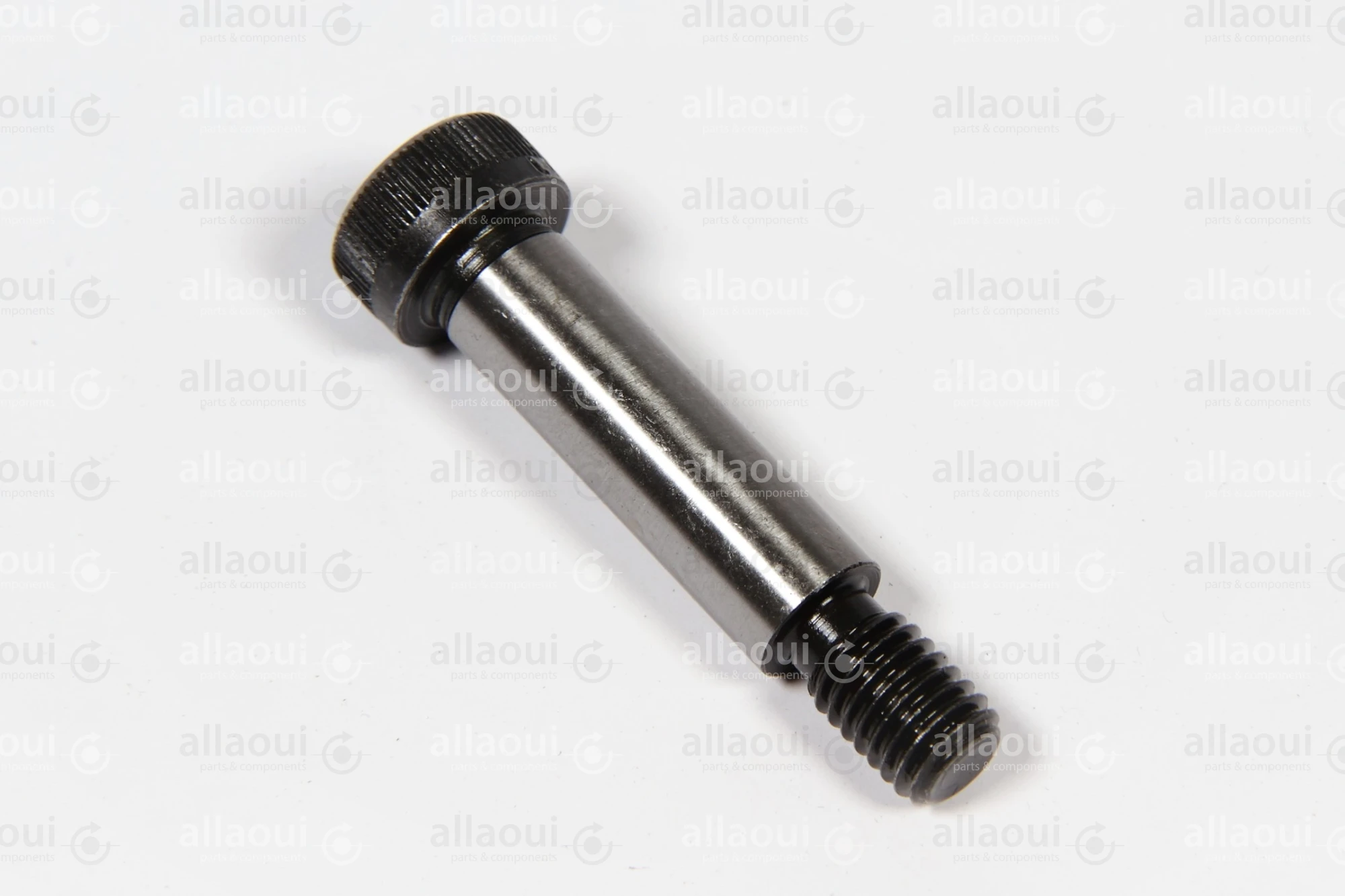 Multigraf  Setscrew 12F9X40/M10 0030.4109