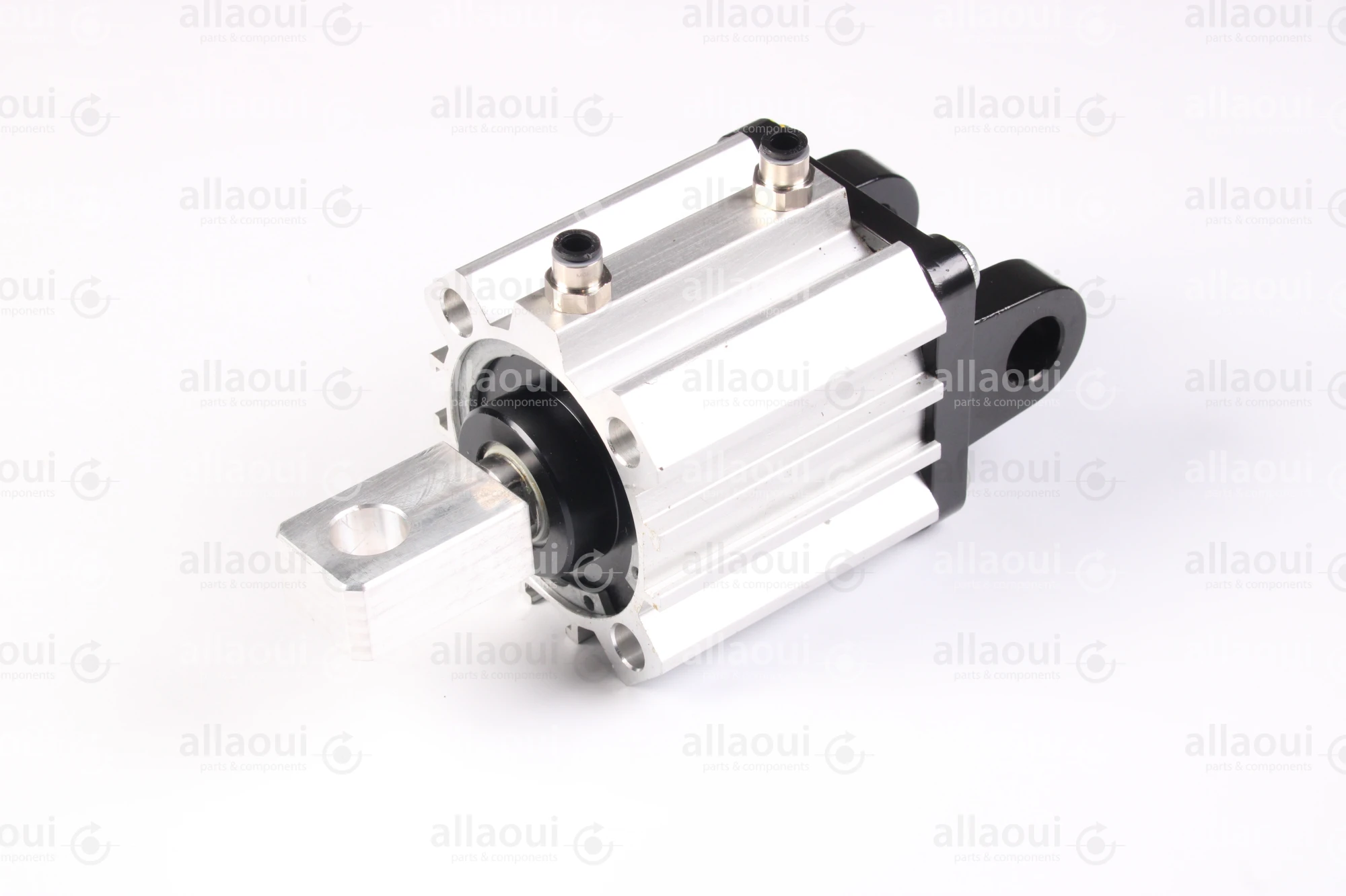 Elettra S.r.l Pneumatic Cylinder 1026653-00