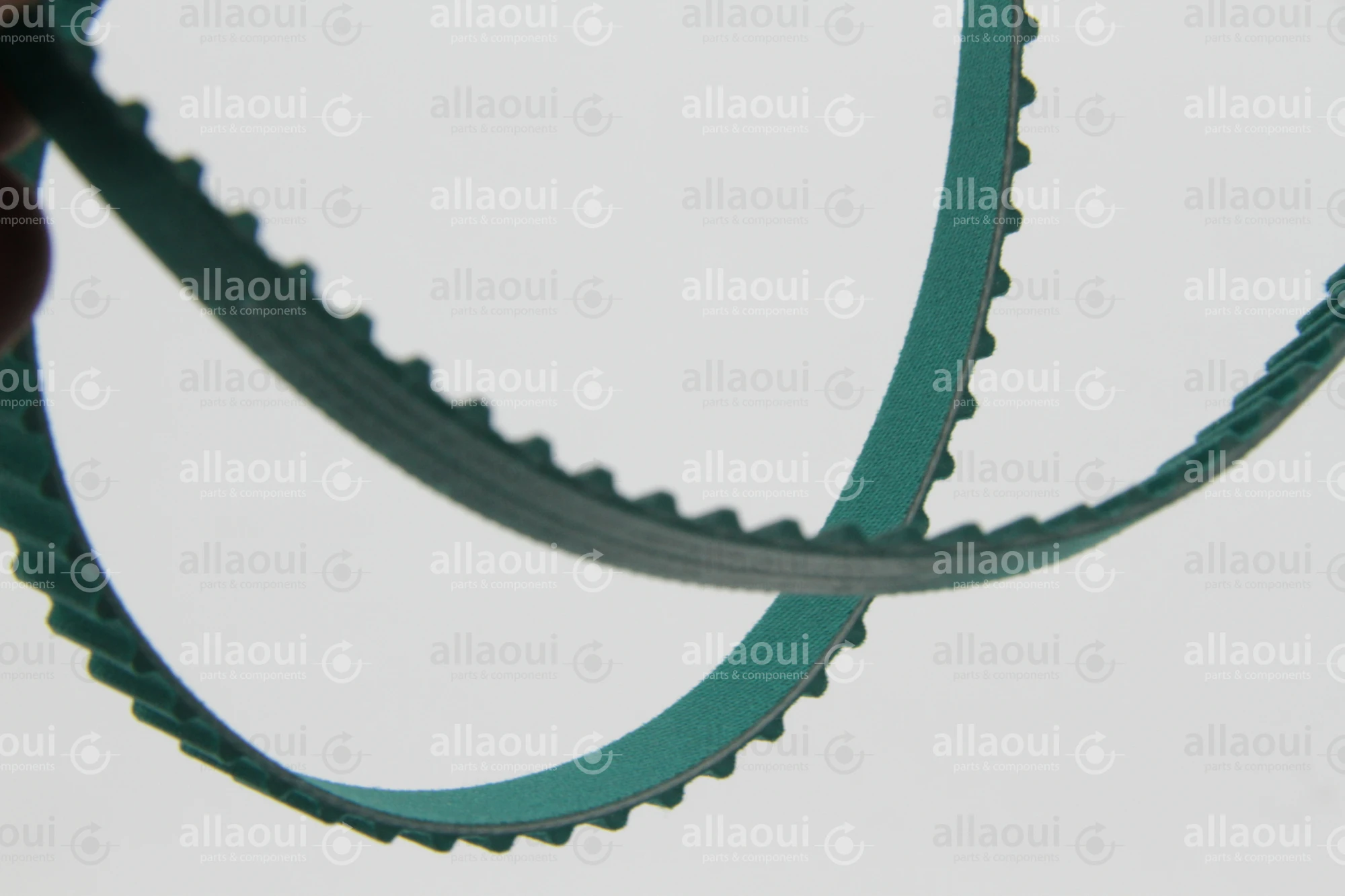 Horizon Toothed Belt M1325140