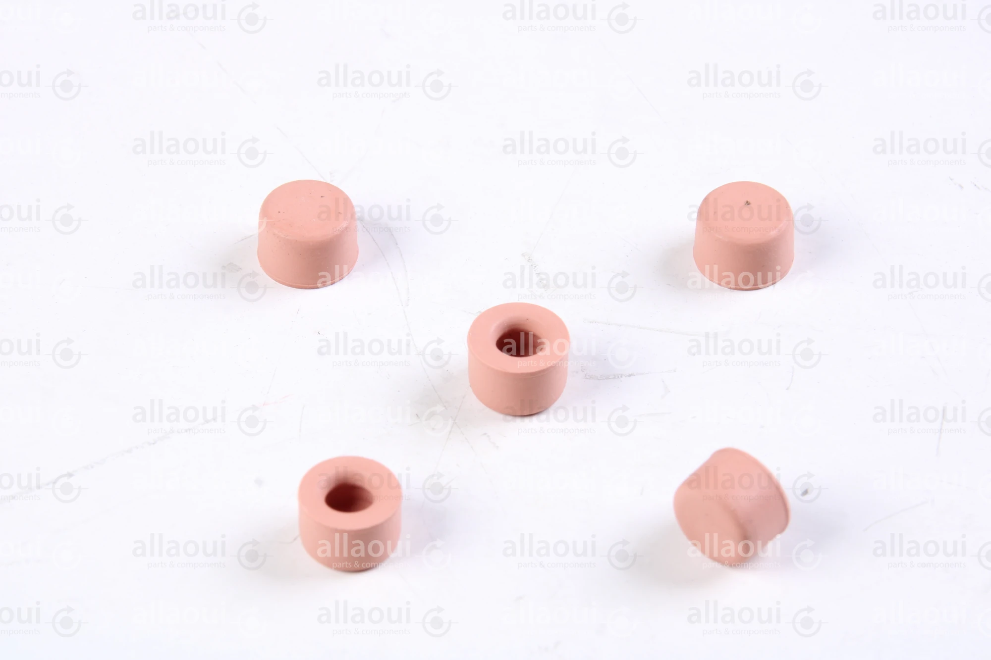 Müller Martini Cap 6/12x8 (5 Pieces) 0020.1901