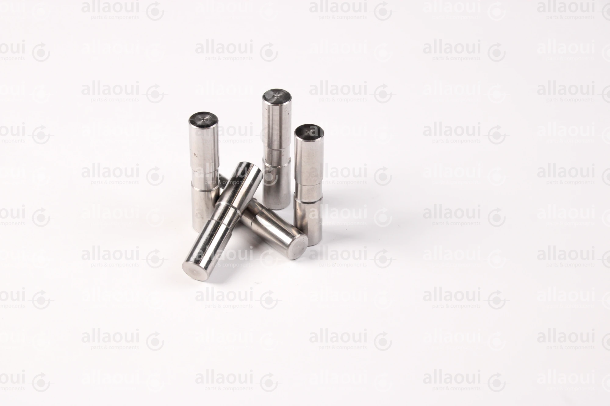 Ferag Axis (5 pieces) 31182226