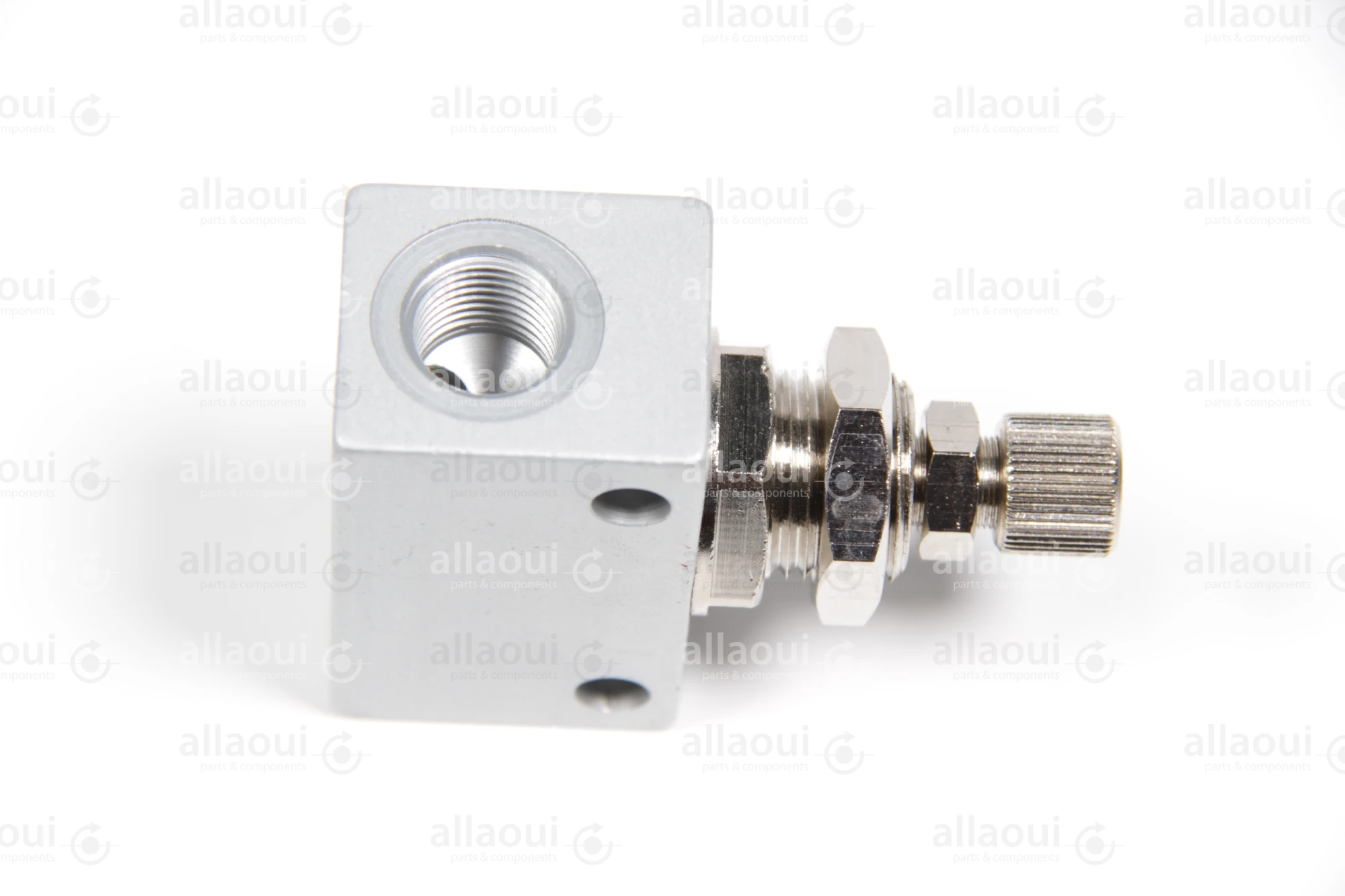 Riegler Valve 225.34