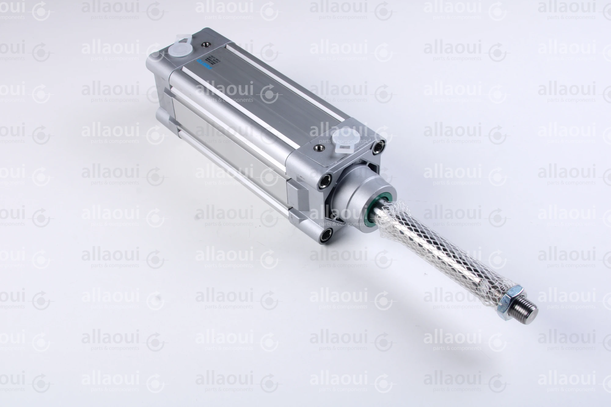 Festo Double acting standard cylinder DNC-63-100-PPV-A-100K8