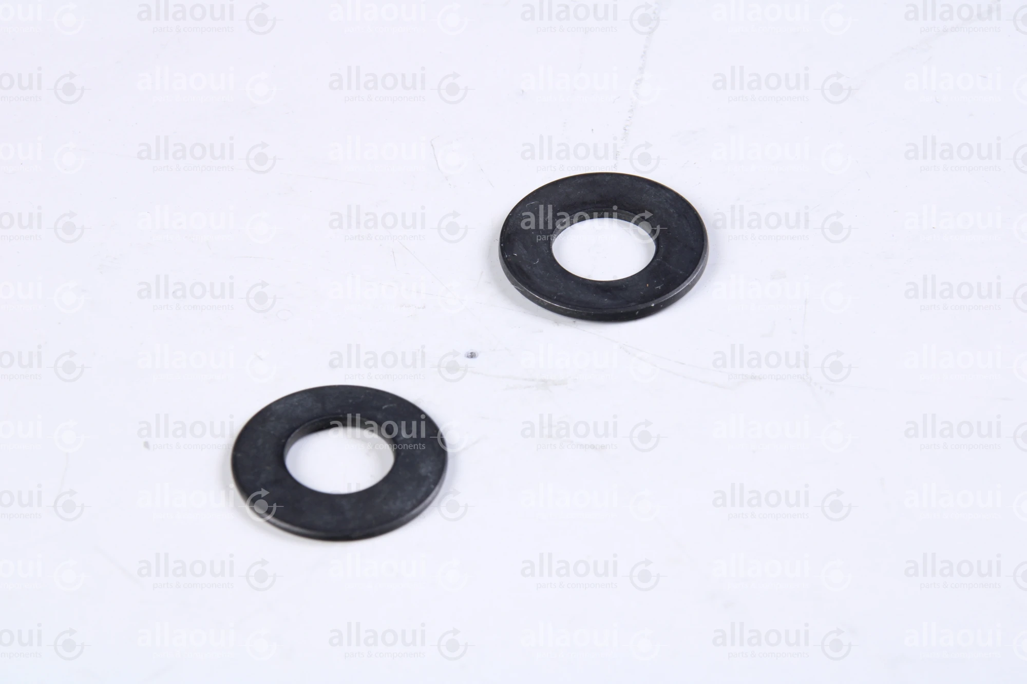 Polar Belleville washer (2 Pieces) 216658