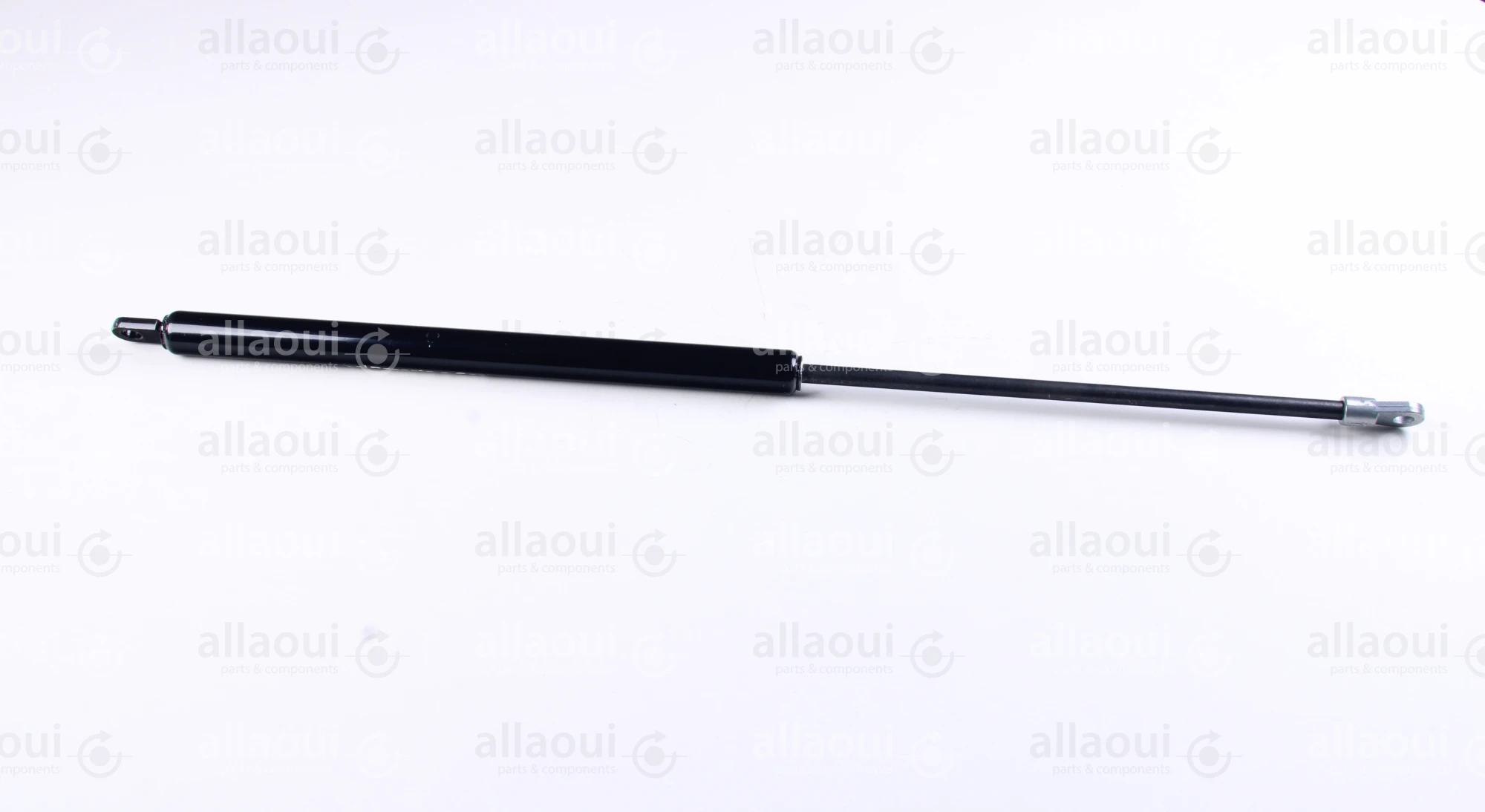 Clevers Gas Spring 69024