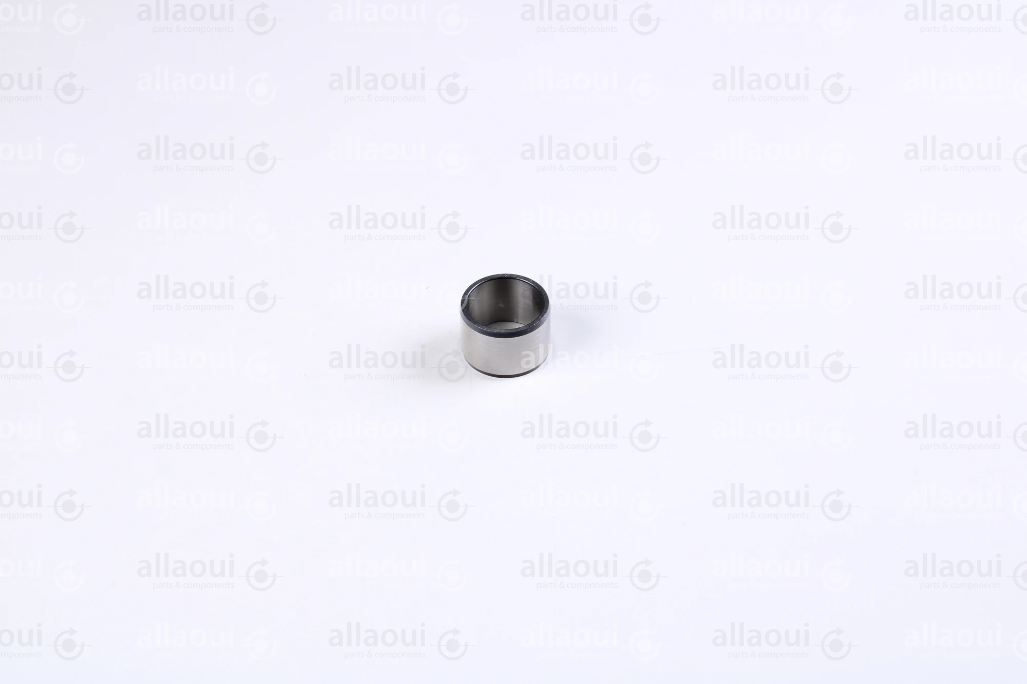 INA Inner Ring 000021628-0000