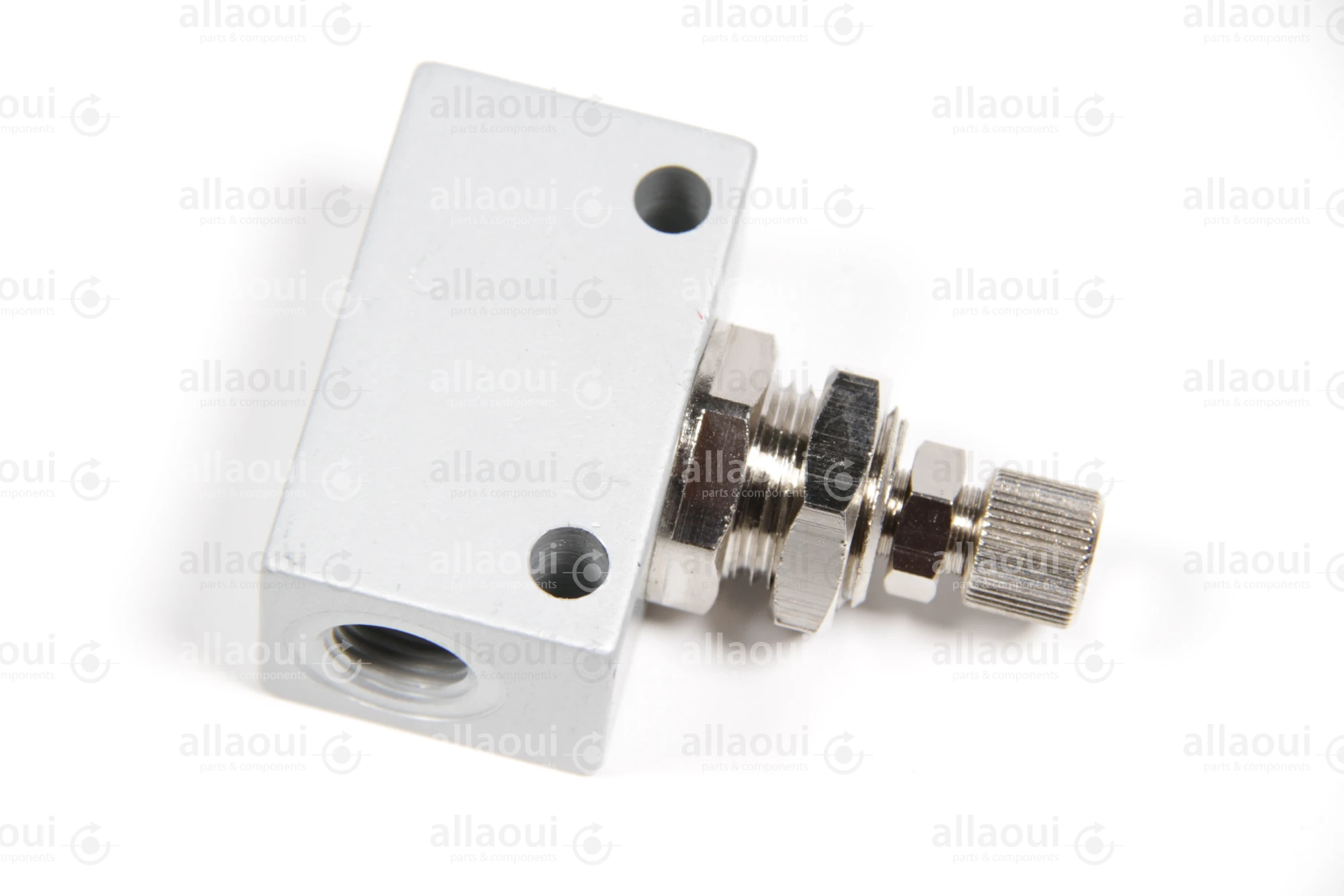 Riegler Valve 225.34