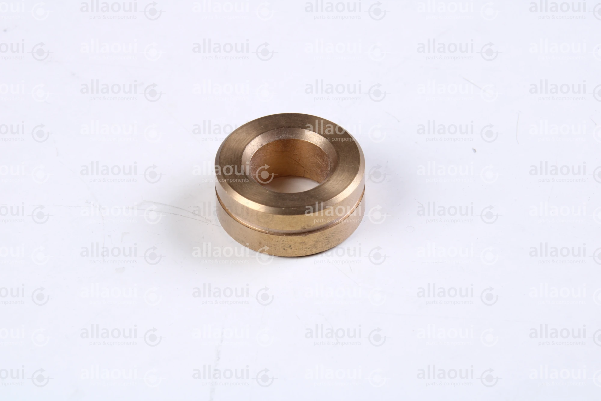 Polar Bearing bushing 448355