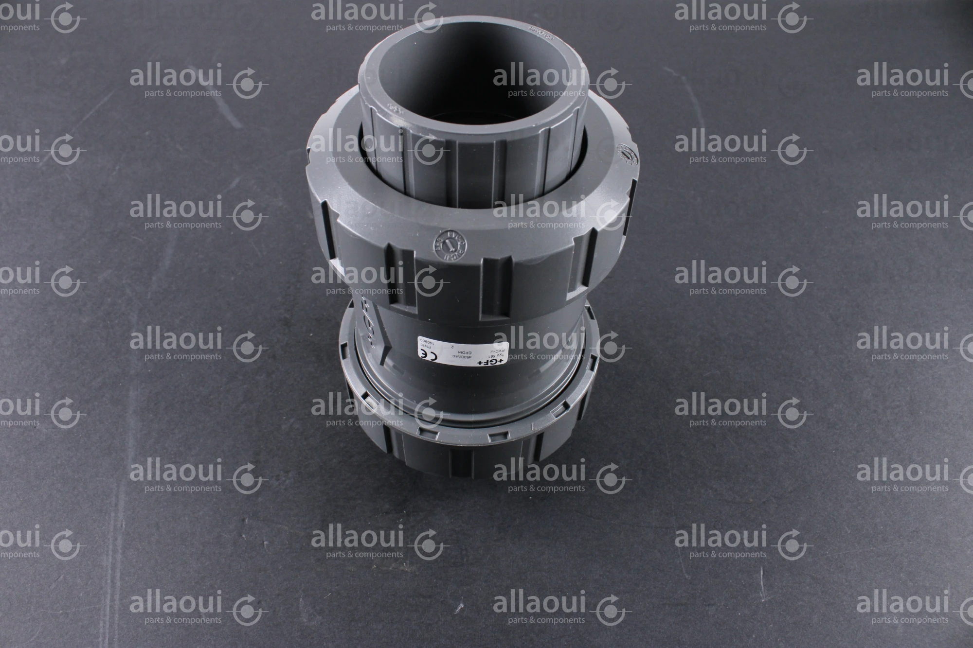 Technotrans Check Valve 10037969