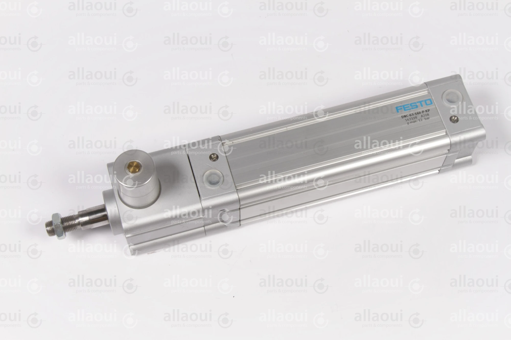Festo Pneumatic Cylinder DNC-63-160-PPV-A