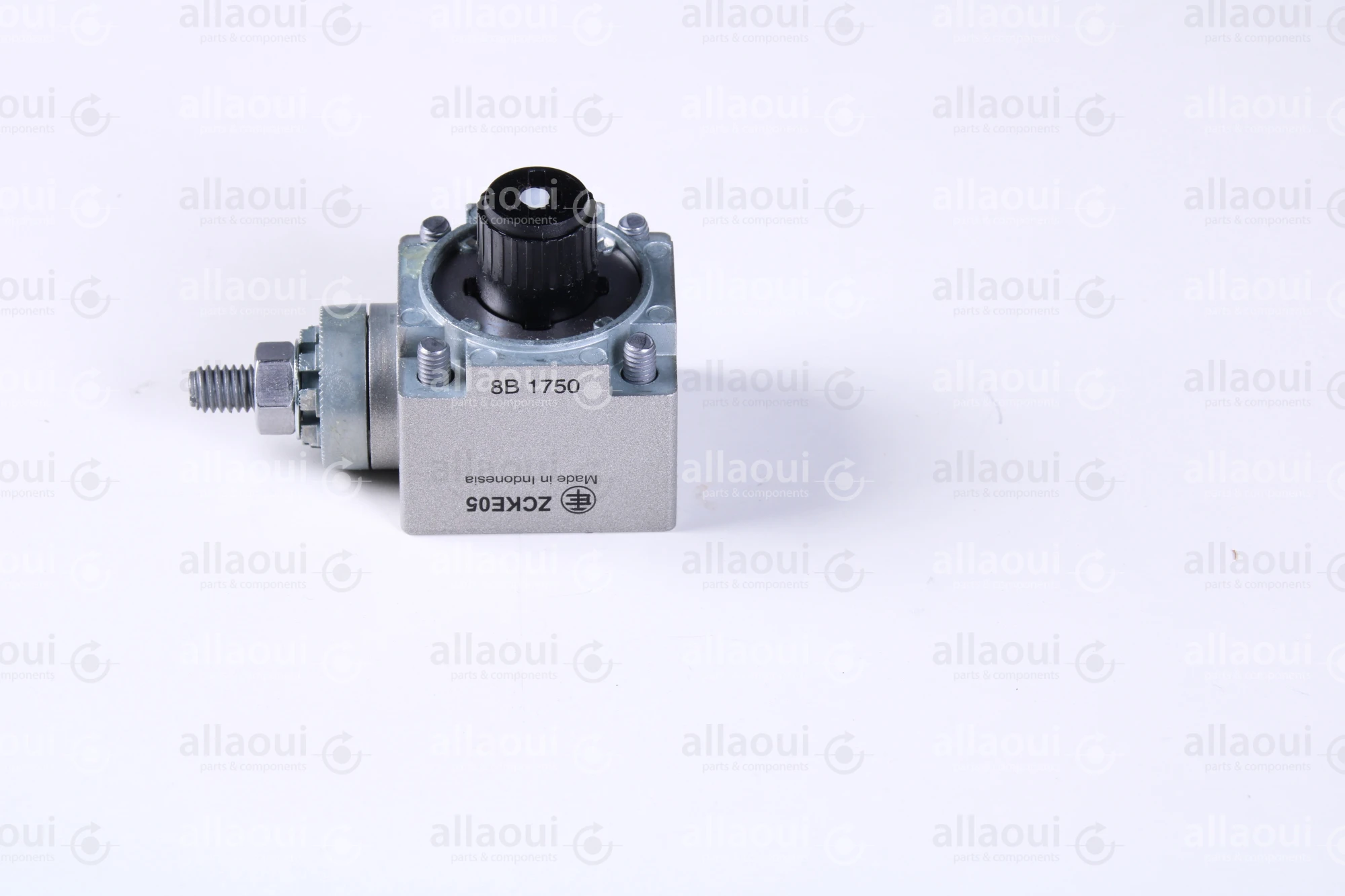 Telemecanique Snap Action Roller Lever ZCKE05