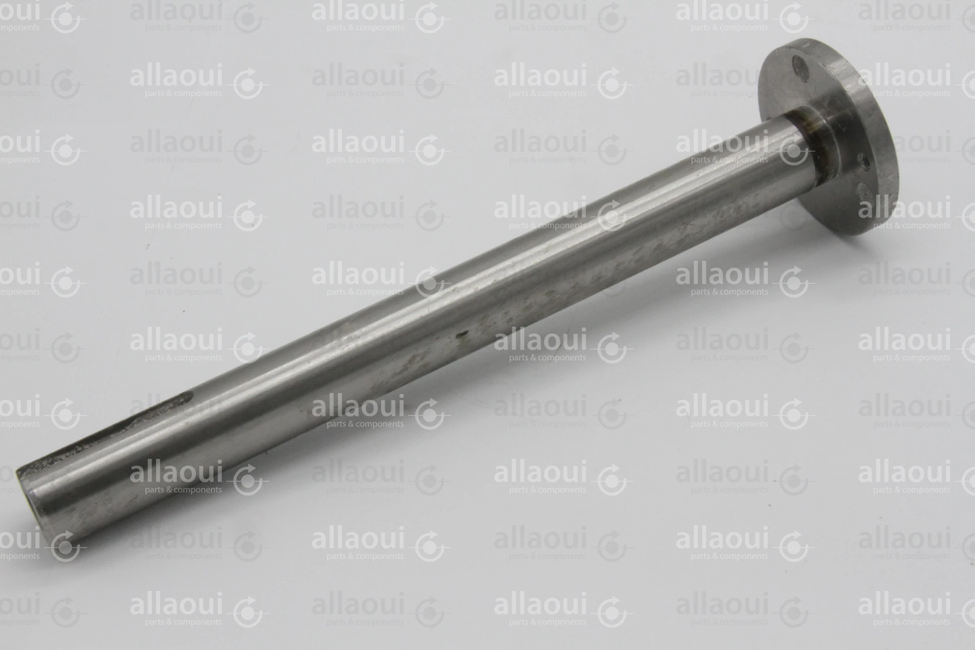 Heidelberg Journal DS F2.030.602 /05