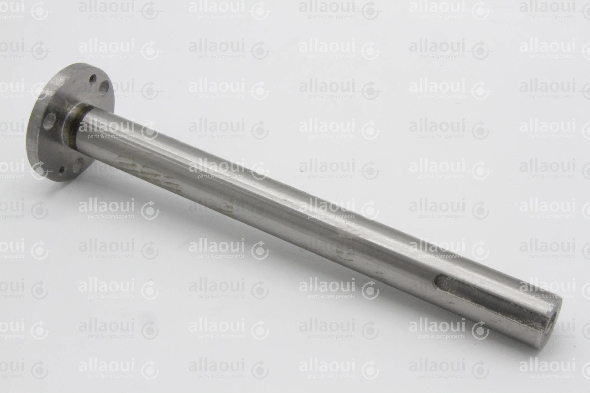 Heidelberg Journal DS F2.030.602 /05