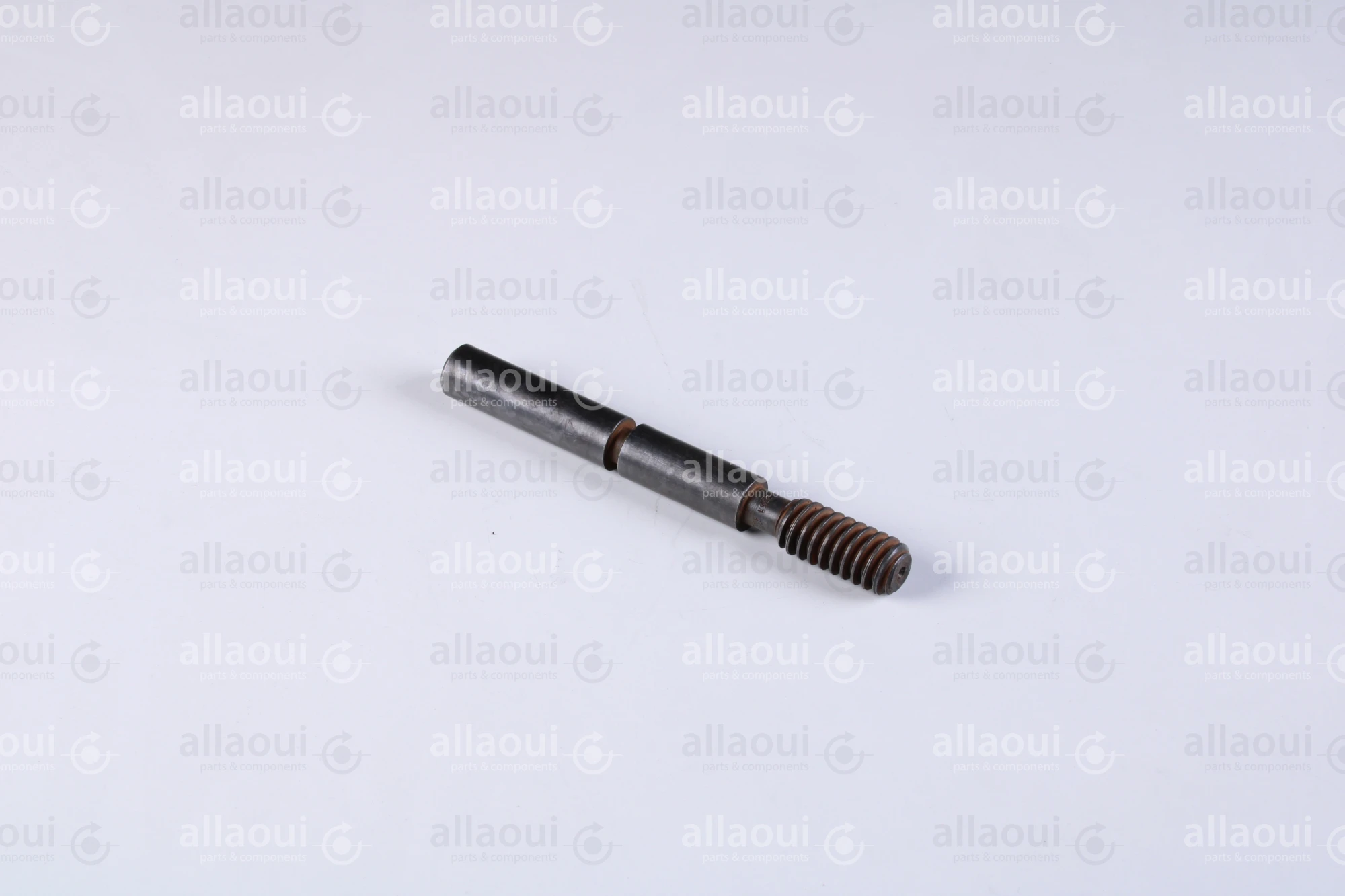 Manroland Worm 8008F302351